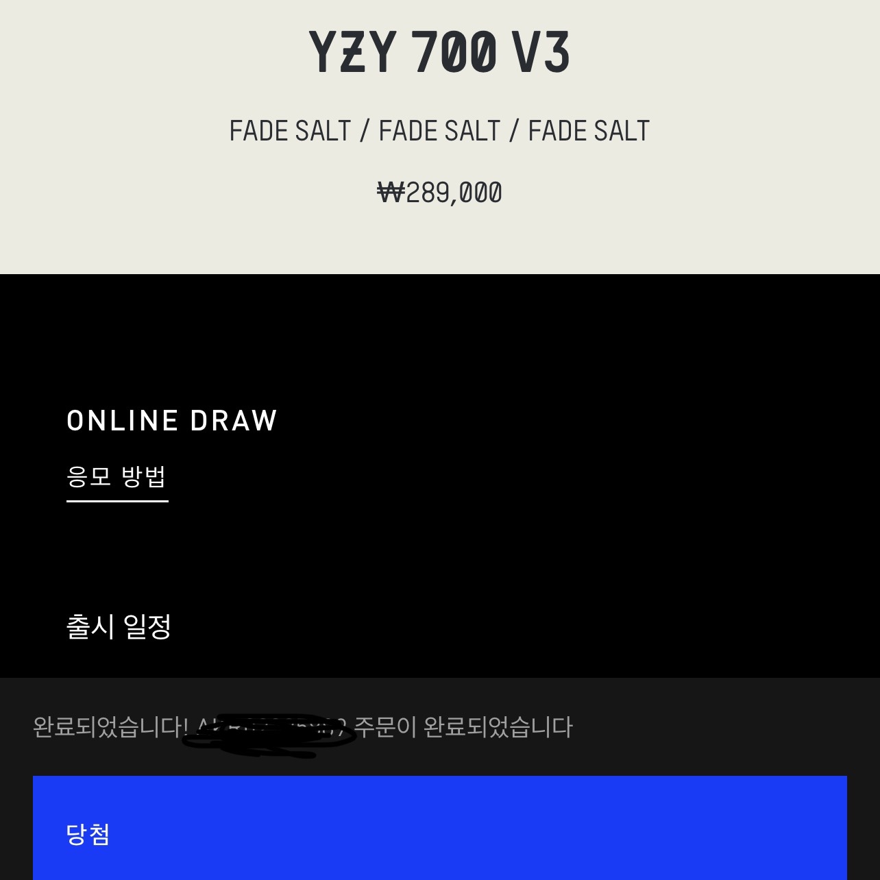 Adidas Yeezy 700 V3 Fade Salt 착용 스타일 - 1