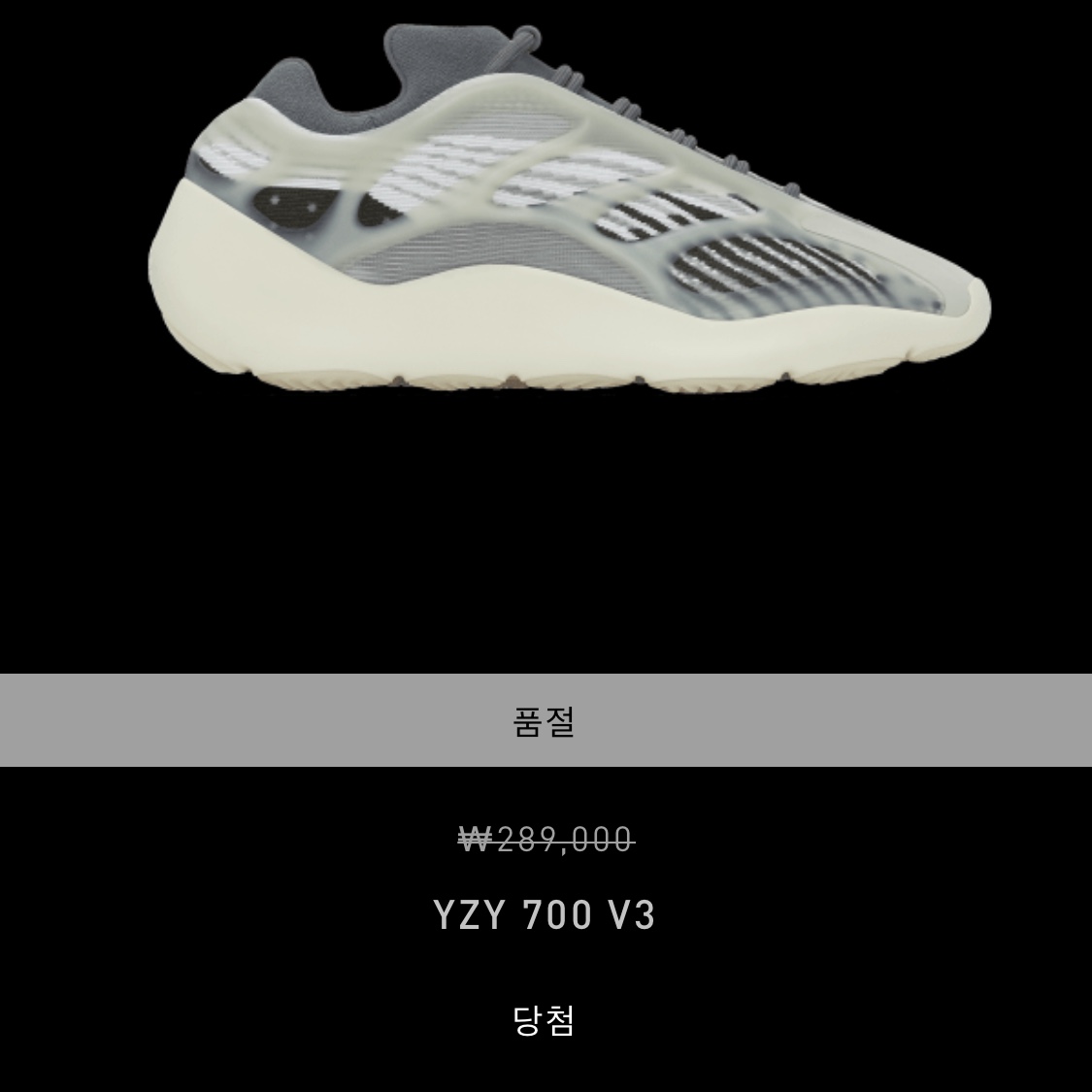 Adidas Yeezy 700 V3 Fade Salt 착용 스타일