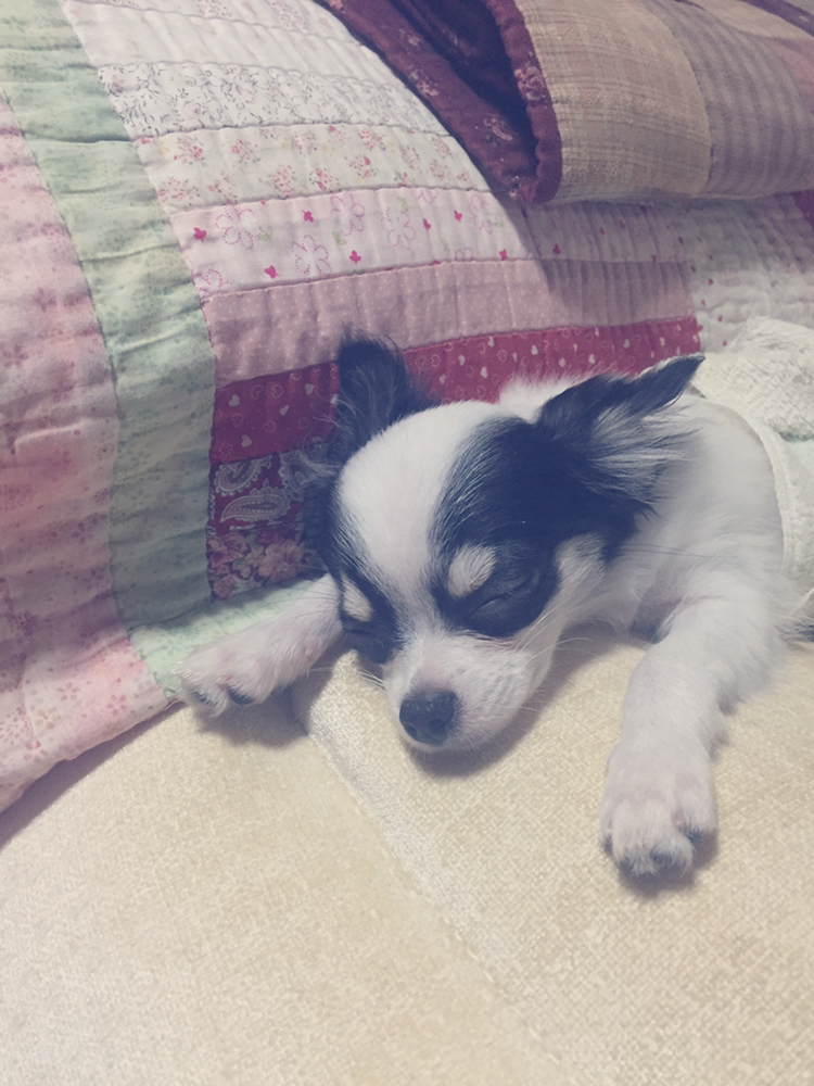 관심 유저 프로필 이미지