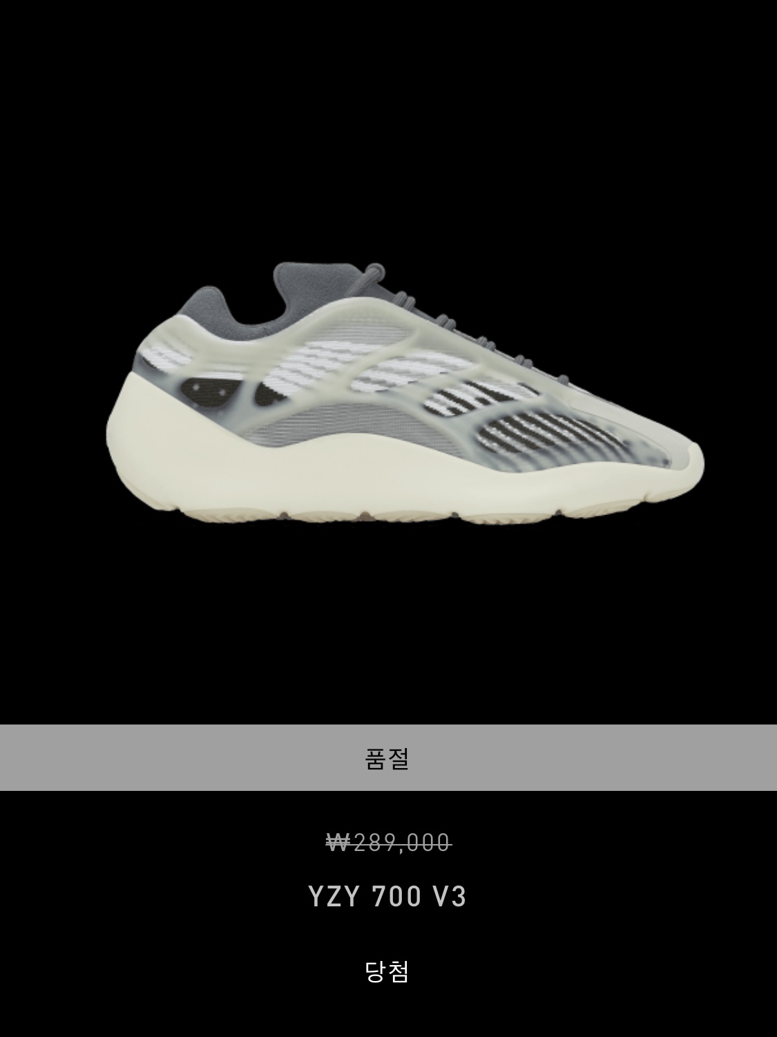 Adidas Yeezy 700 V3 Fade Salt 착용 스타일
