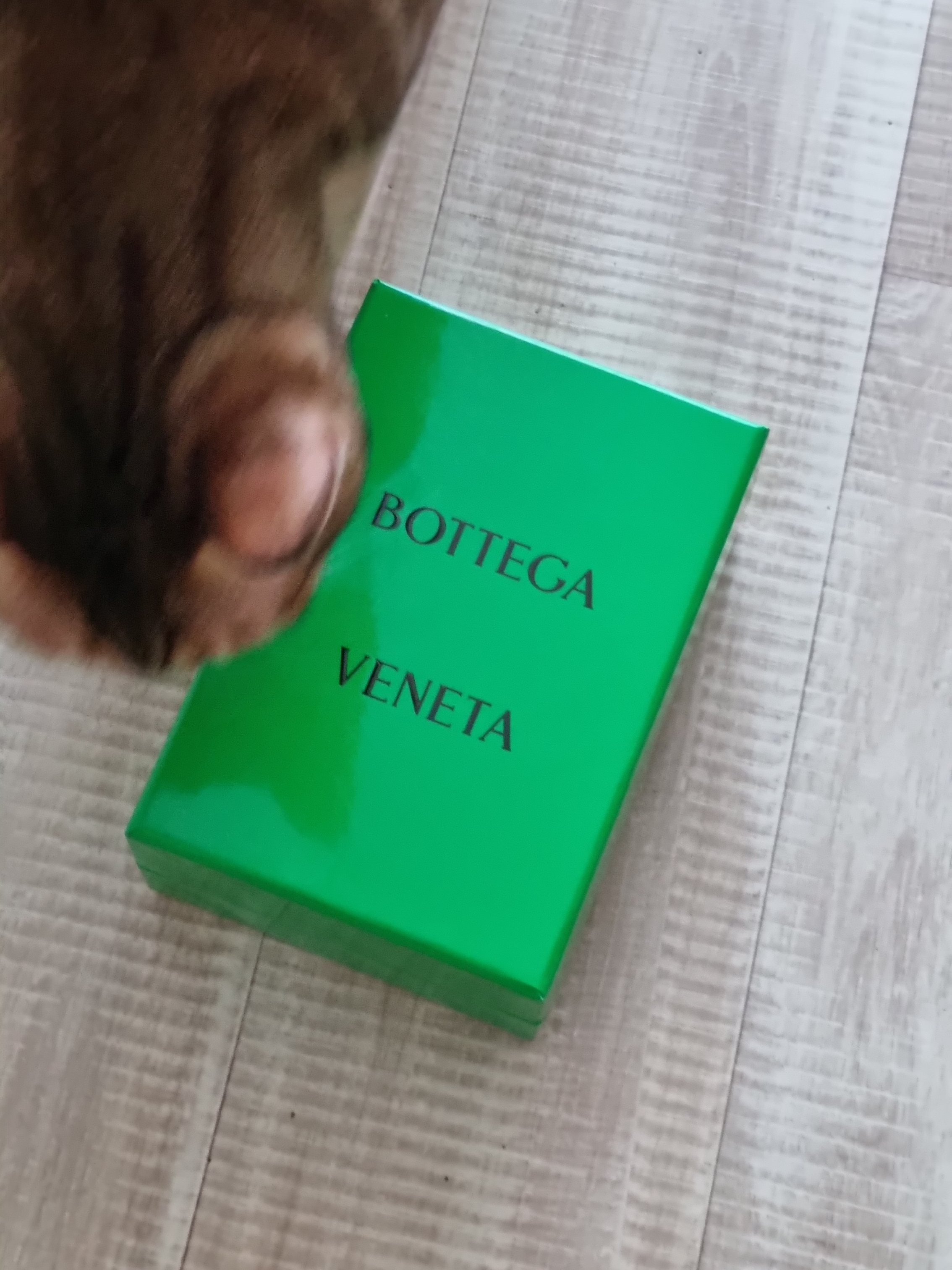 Bottega Veneta Flap Card Case Parakeet 착용 스타일 - 4