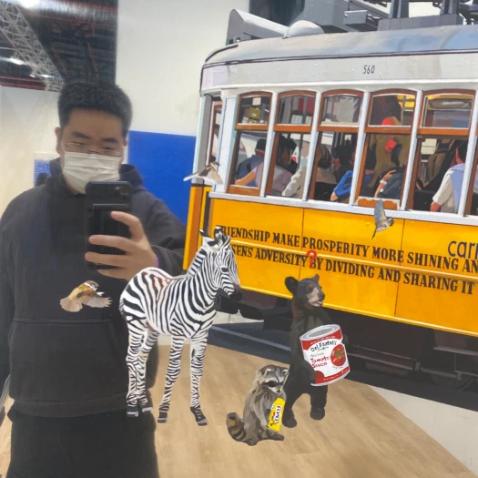 스타일 카드