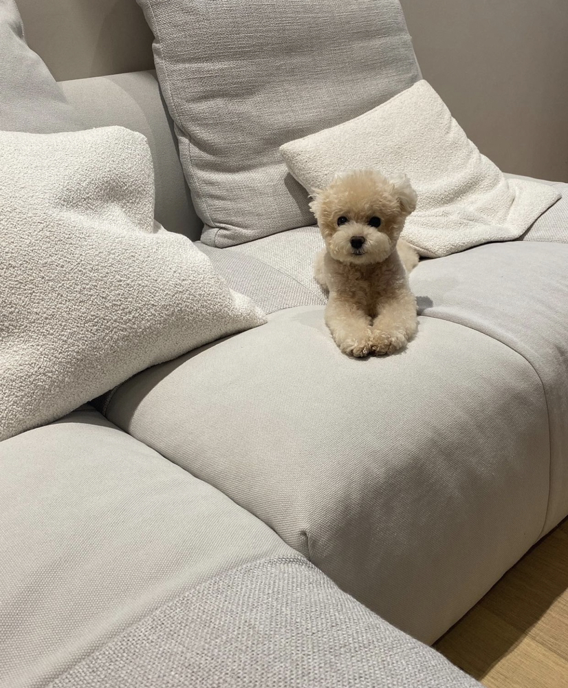 KREAM 프로필 이미지