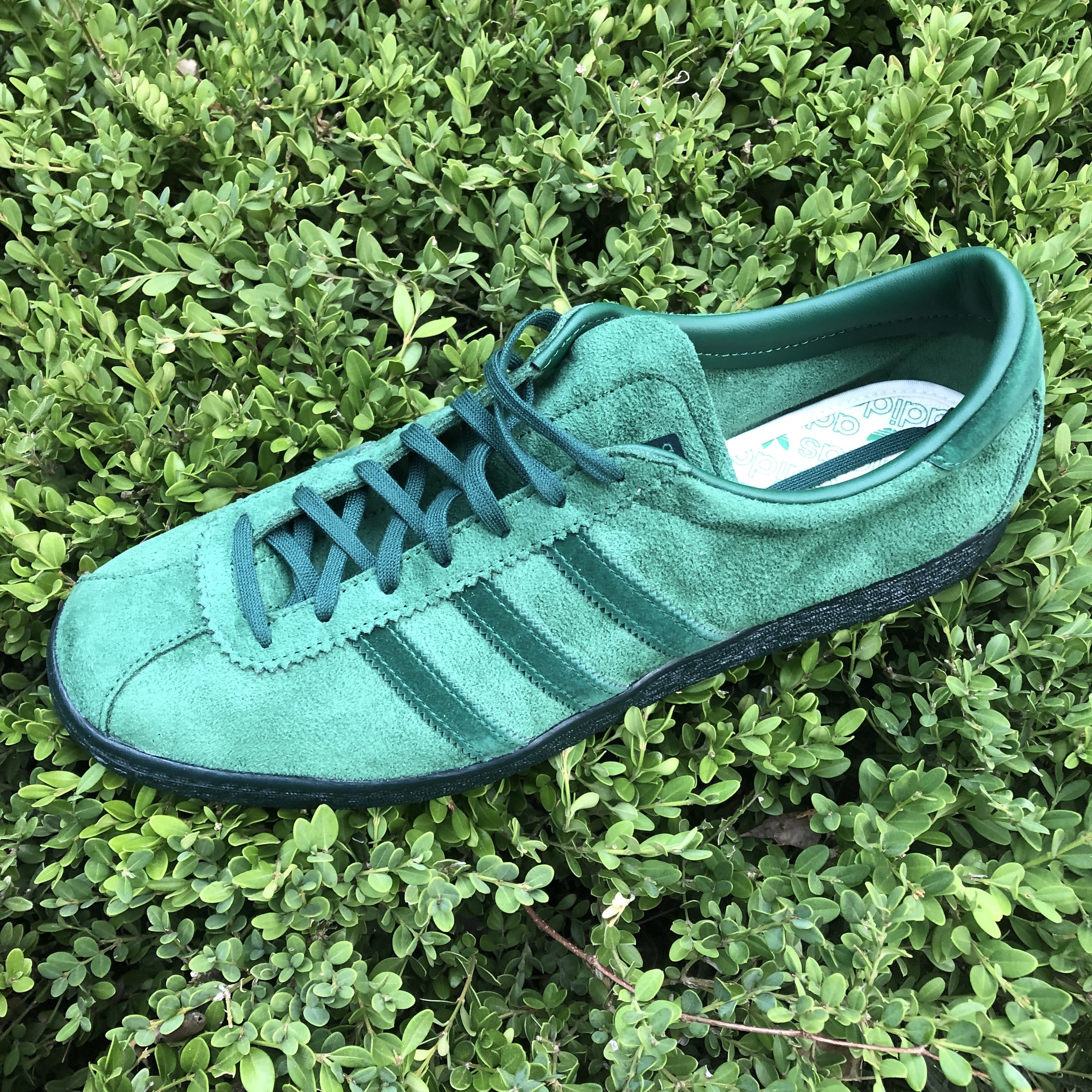 Adidas Tobacco Gruen Dark Green 착용 스타일