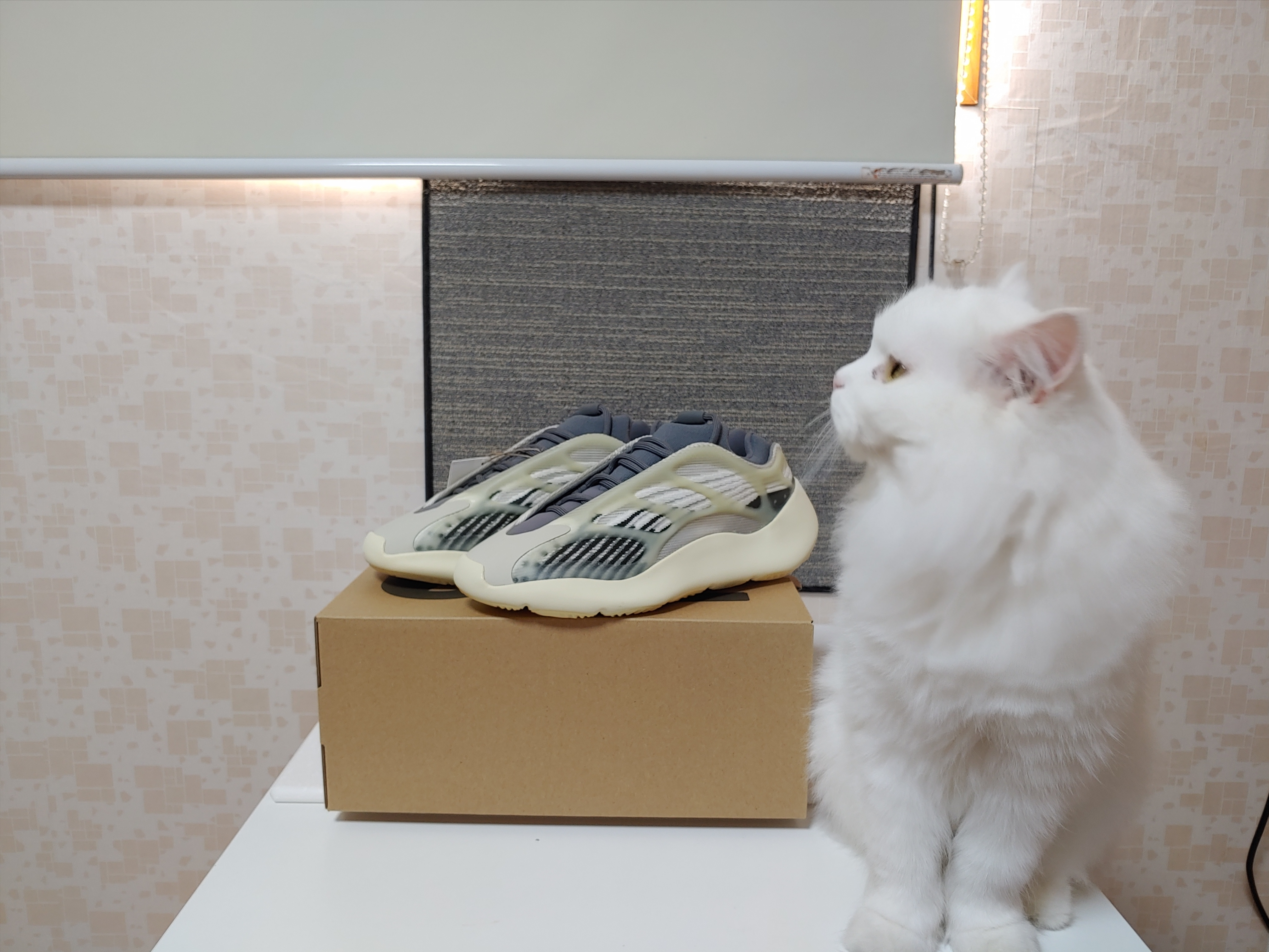 Adidas Yeezy 700 V3 Fade Salt 착용 스타일 - 1