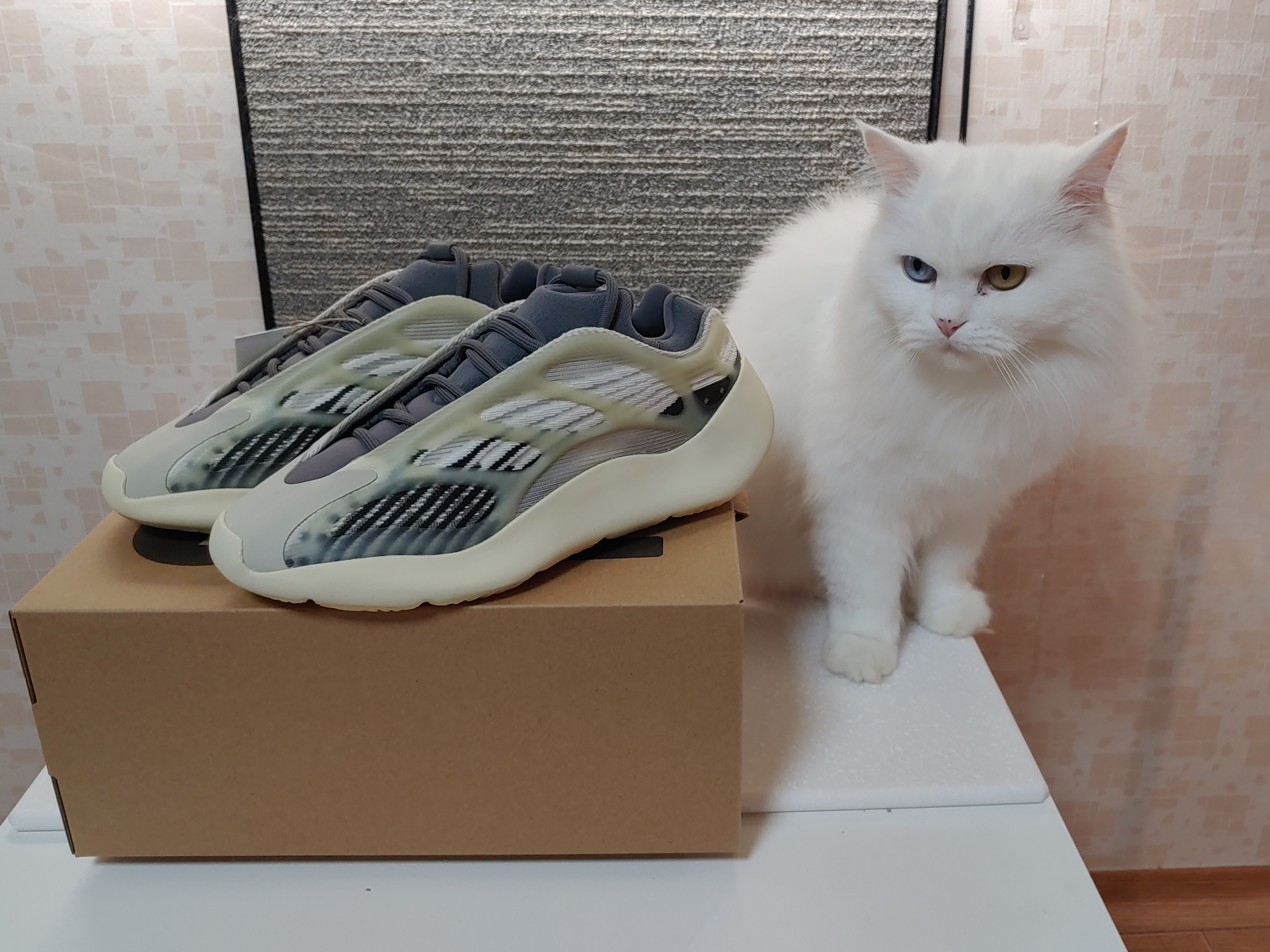 Adidas Yeezy 700 V3 Fade Salt 착용 스타일 - 3