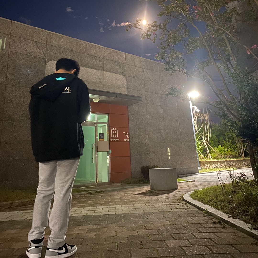 Jordan 1 Mid Elephant Toe 착용 스타일 - 1