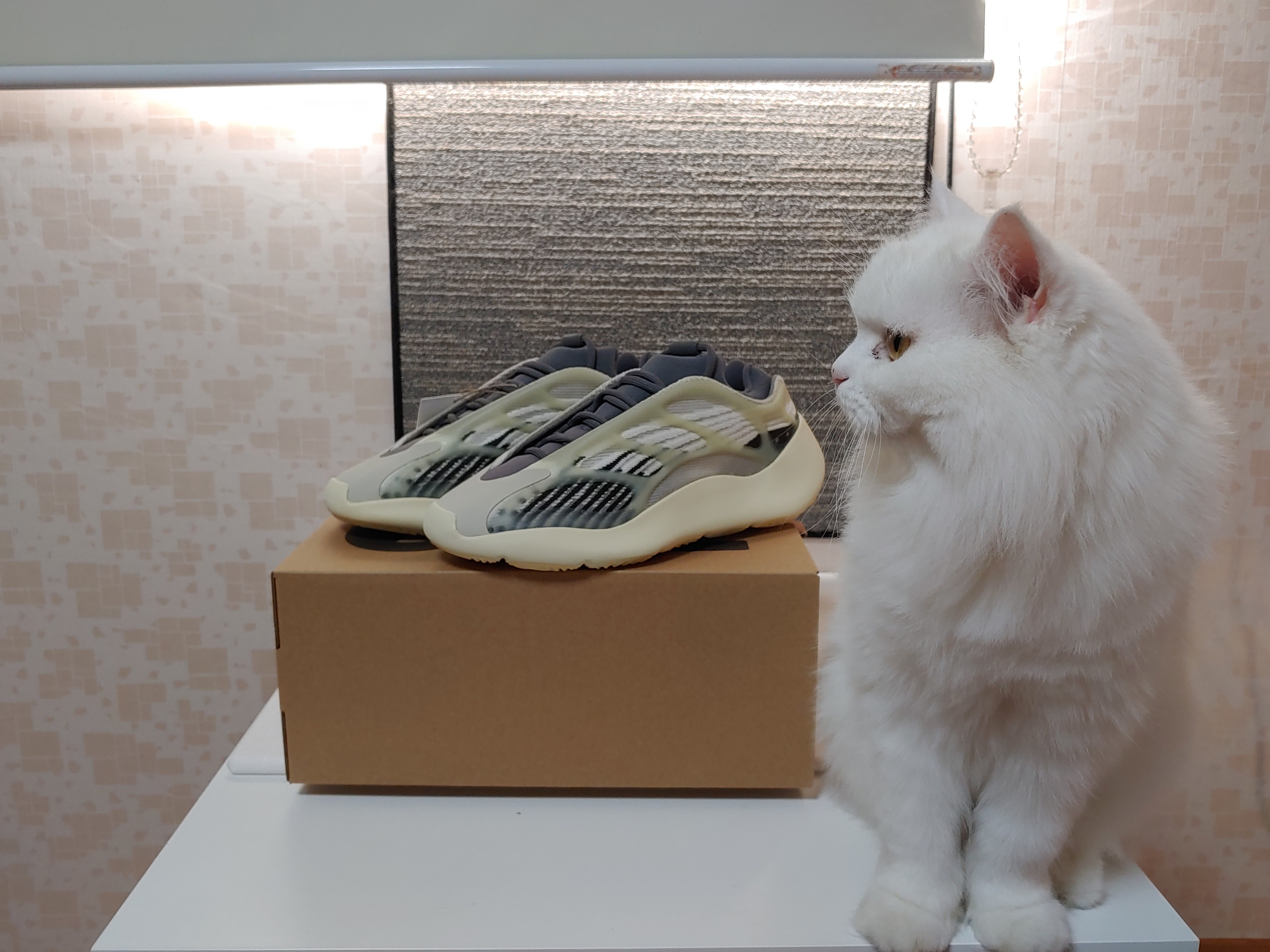 Adidas Yeezy 700 V3 Fade Salt 착용 스타일 - 2
