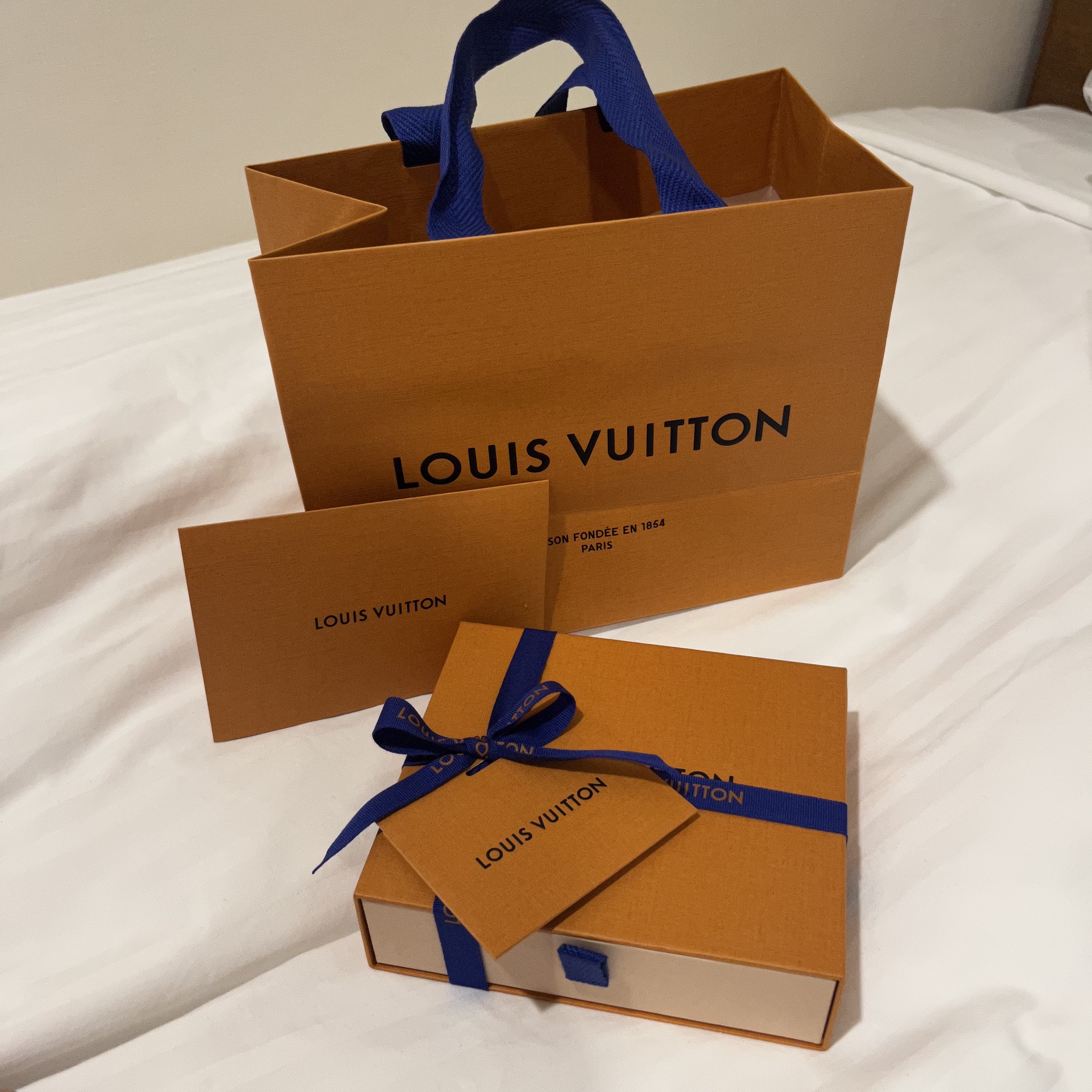 Louis Vuitton Zoe Wallet Monogram Empreinte Black 착용 스타일 - 4