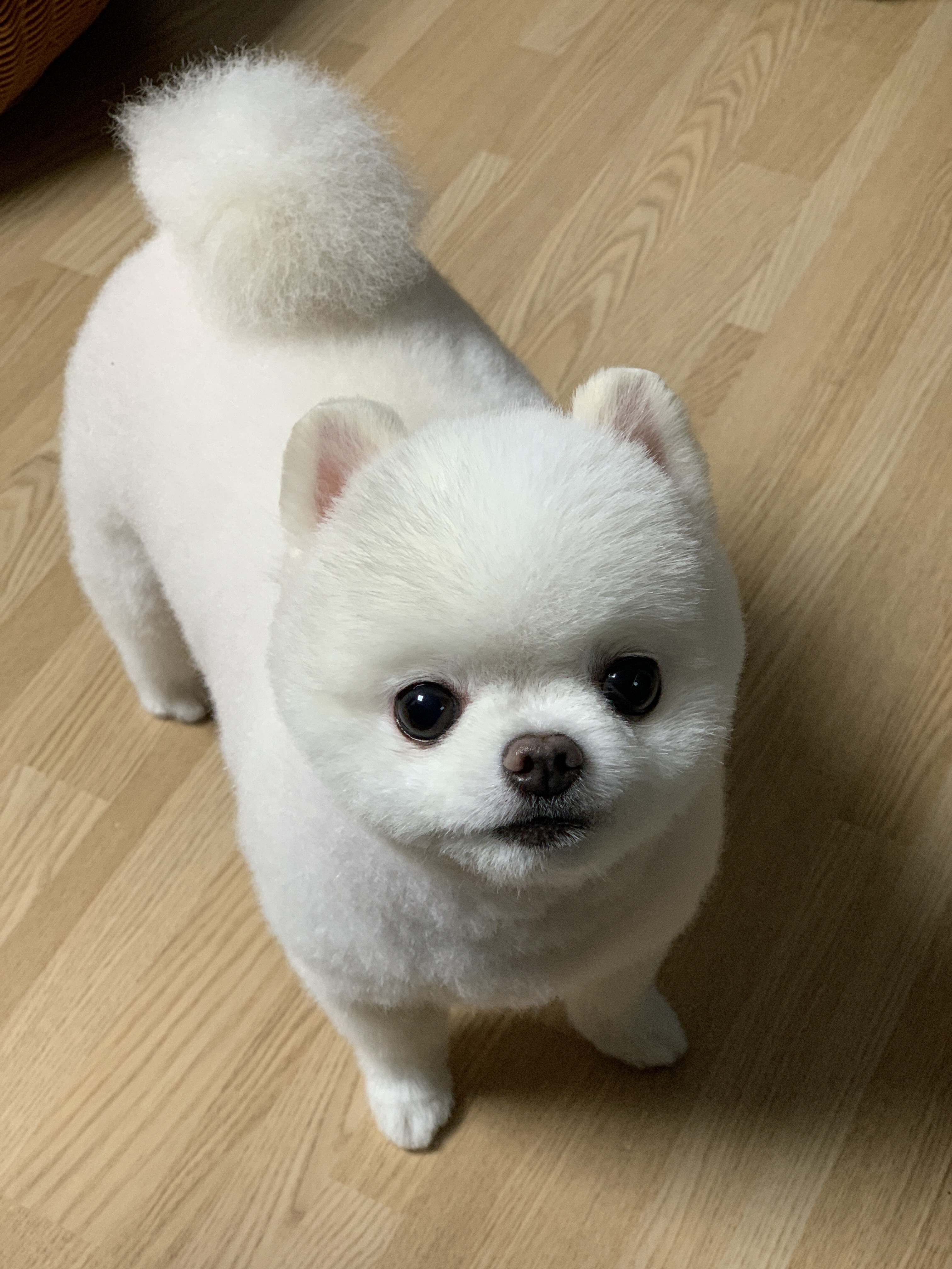508_Jinee님의 스타일 - 4