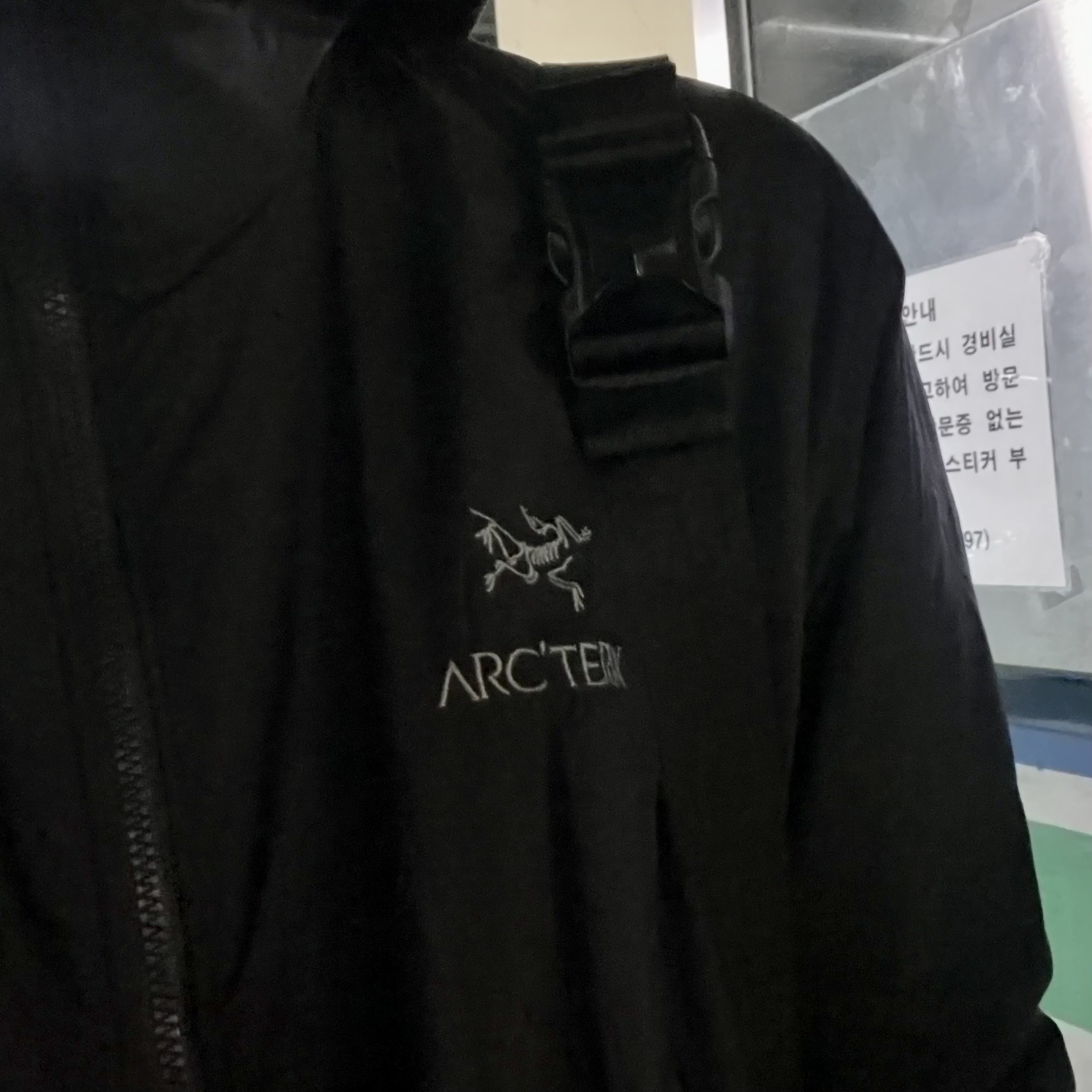 Arc'teryx Atom LT Hoody Black 착용 스타일