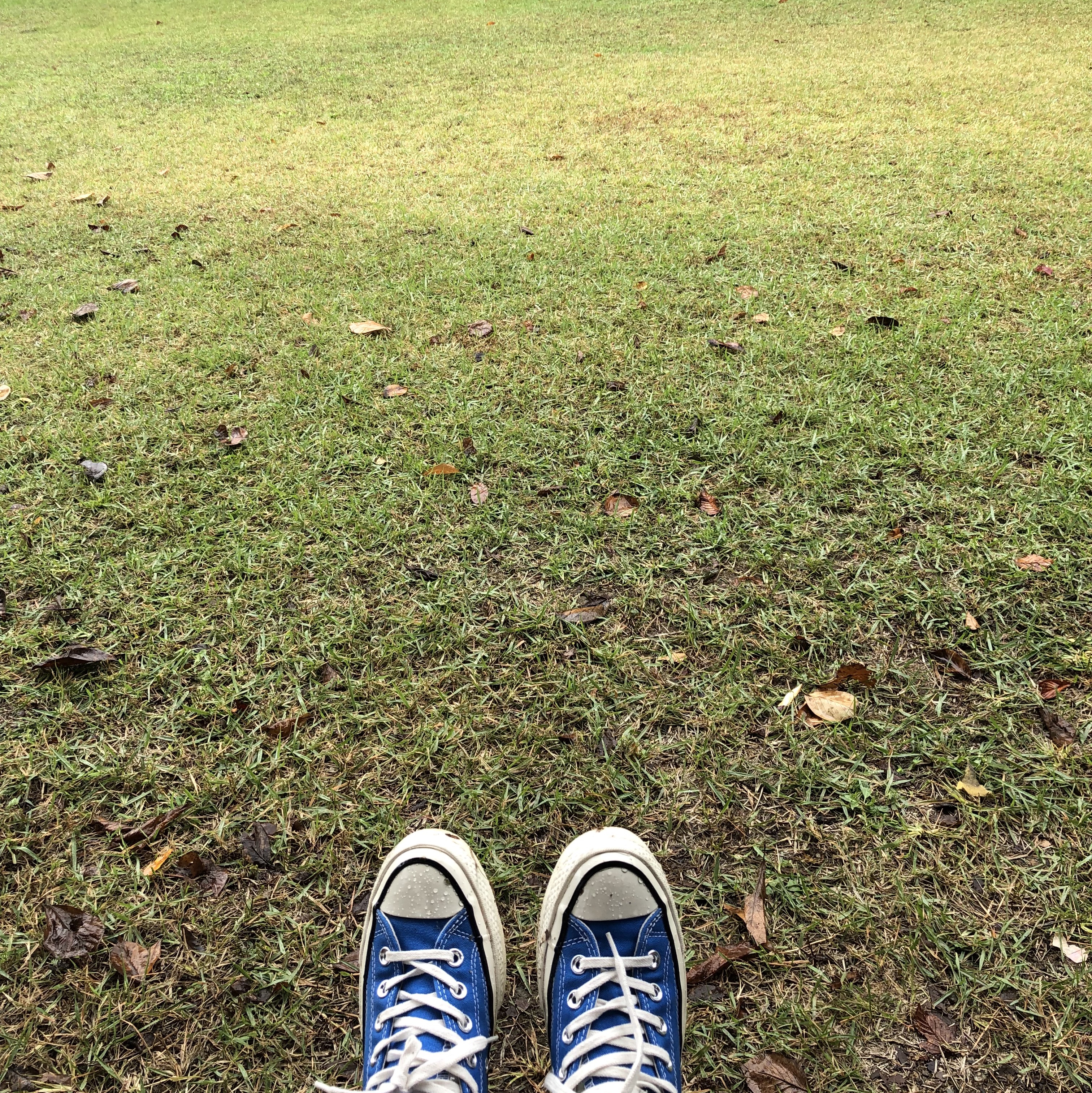 Converse Chuck 70 Ox Vintage Canvas Rush Blue 착용 스타일