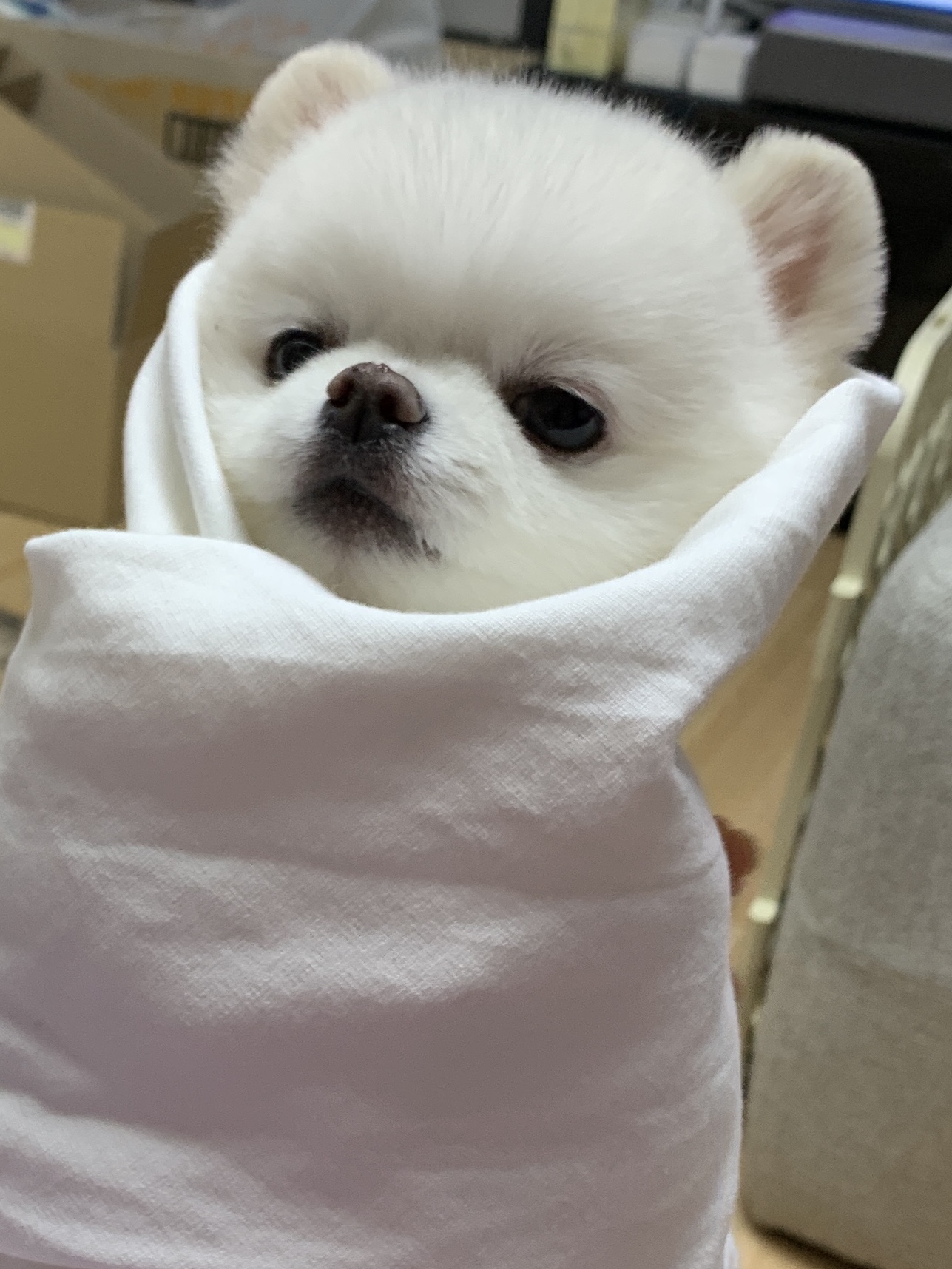 508_Jinee님의 스타일 - 1