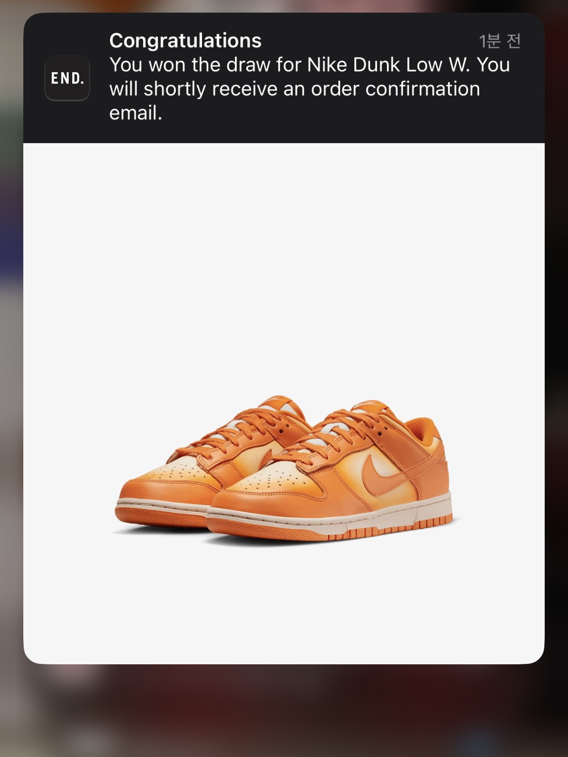 (W) Nike Dunk Low Magma Orange, Nike x Undercover Air Force 1 Low SP White 착용 스타일 - 1