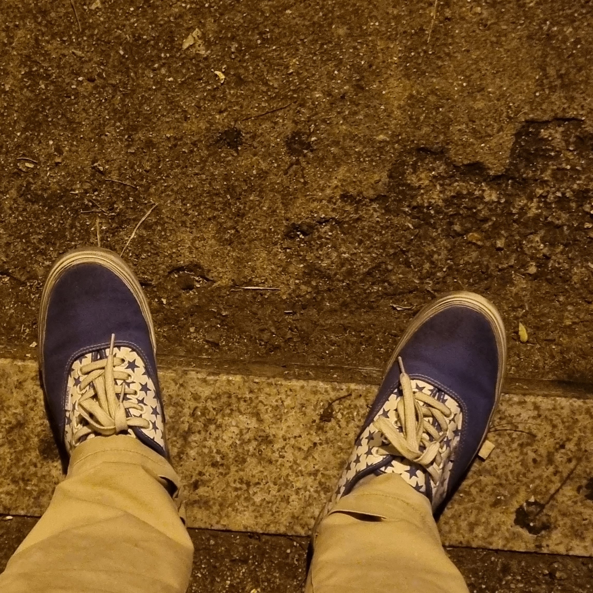 Vans Vault x Bianca Chandon Authentic LX Stressed Navy White 착용 스타일 - 2