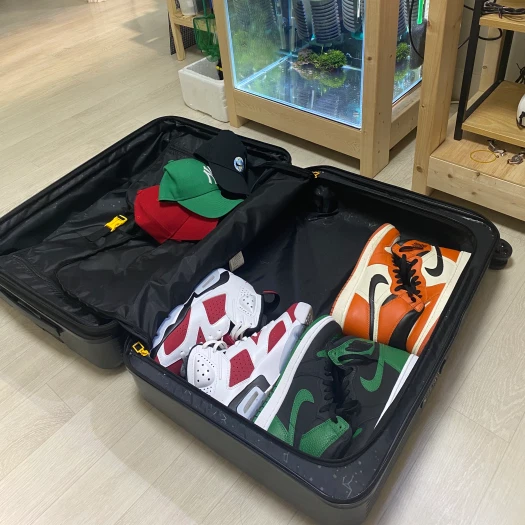 스타일 카드