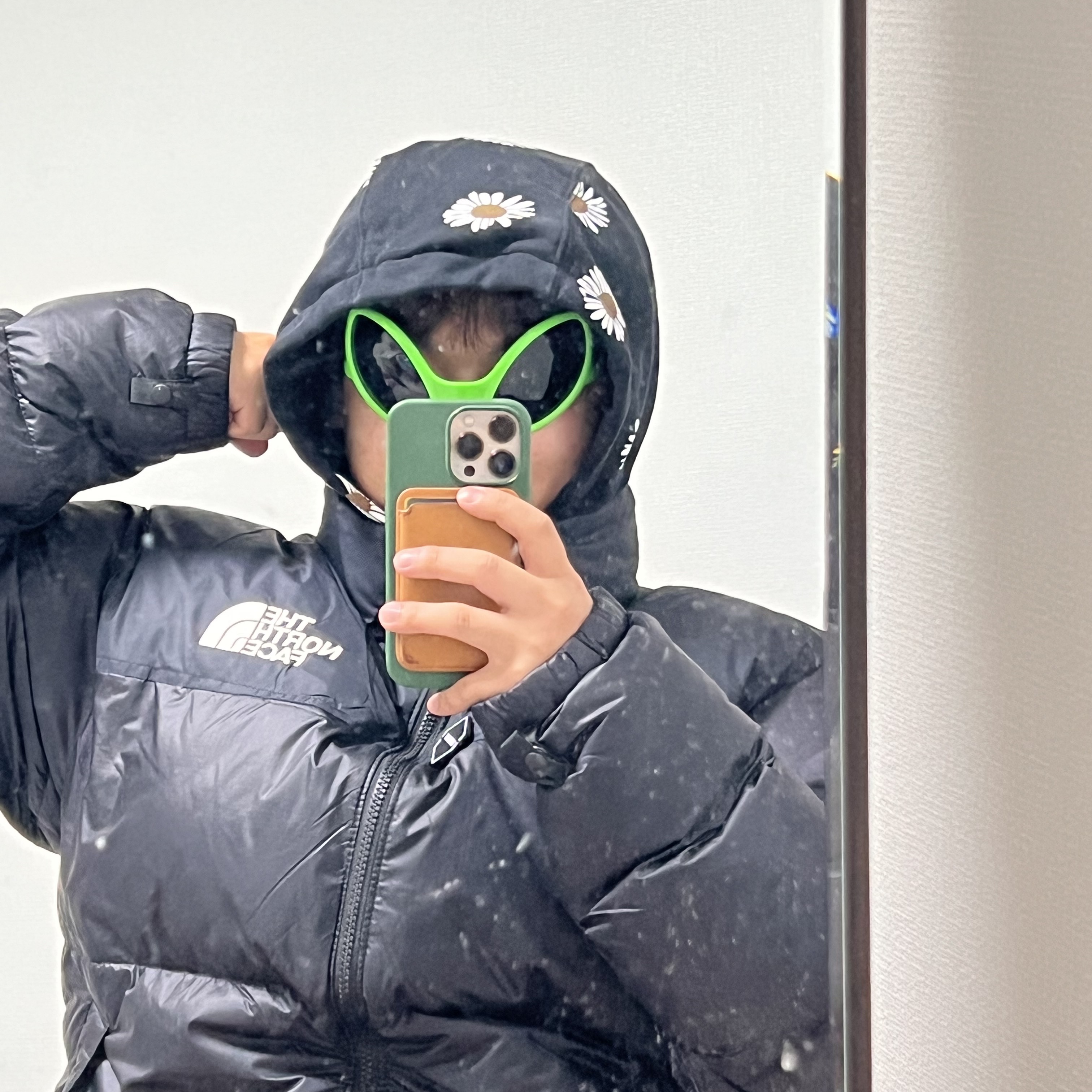 Apple iPhone 13 Pro 128GB Gold (Korean Ver.), The North Face 1996 Eco Nuptse Jacket Black 착용 스타일