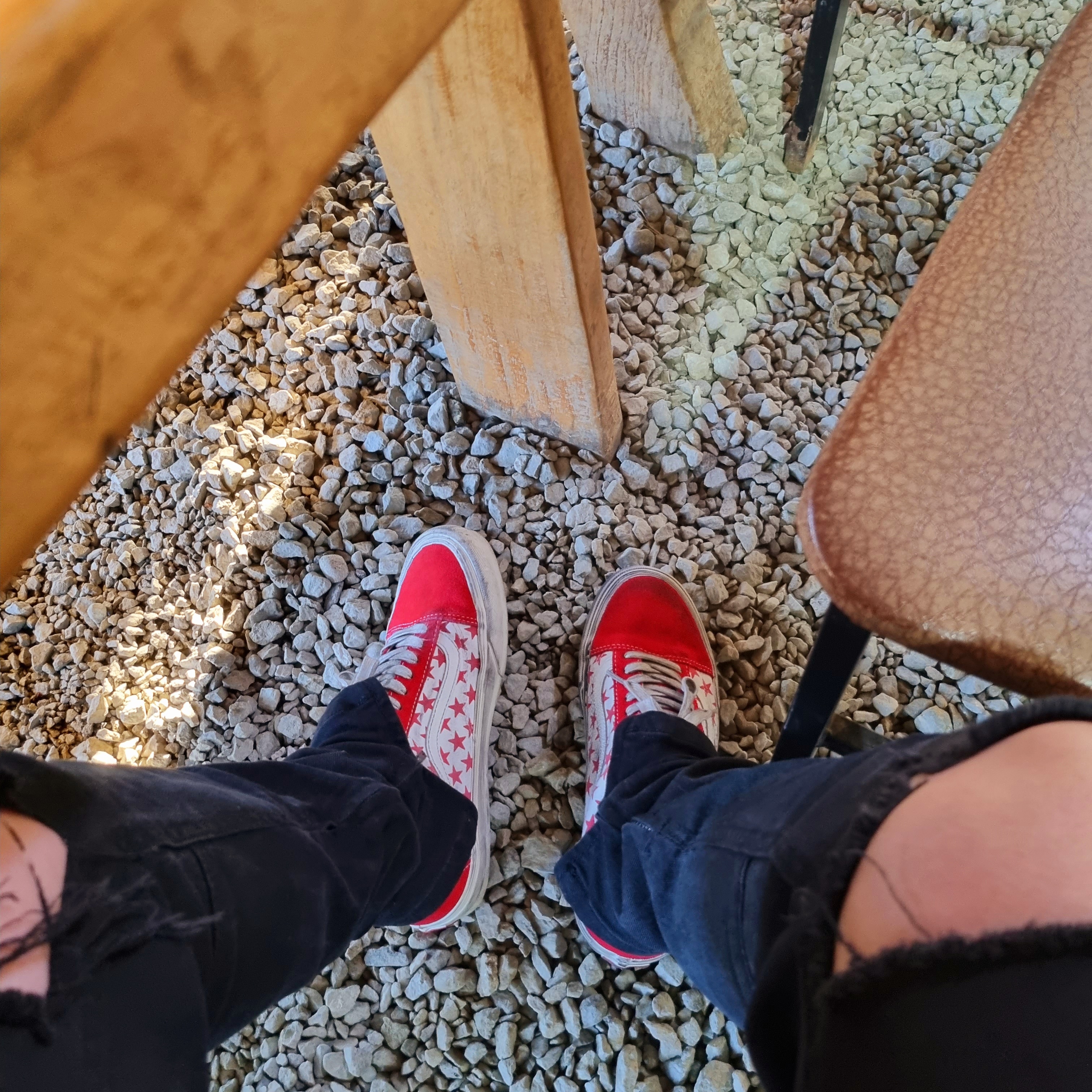 Vans Vault x Bianca Chandon Old Skool LX Stressed Red White 착용 스타일