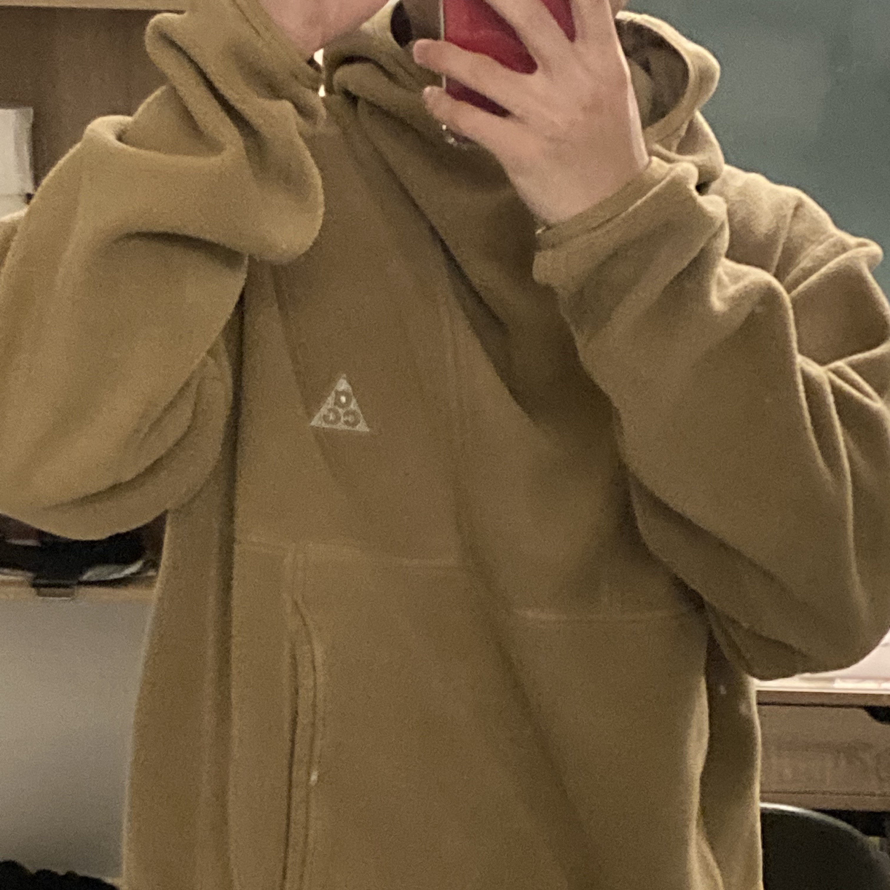 Nike ACG Polartec Wolf Tree Pullover Hoodie Golden Beige - Asia 착용 스타일 - 1