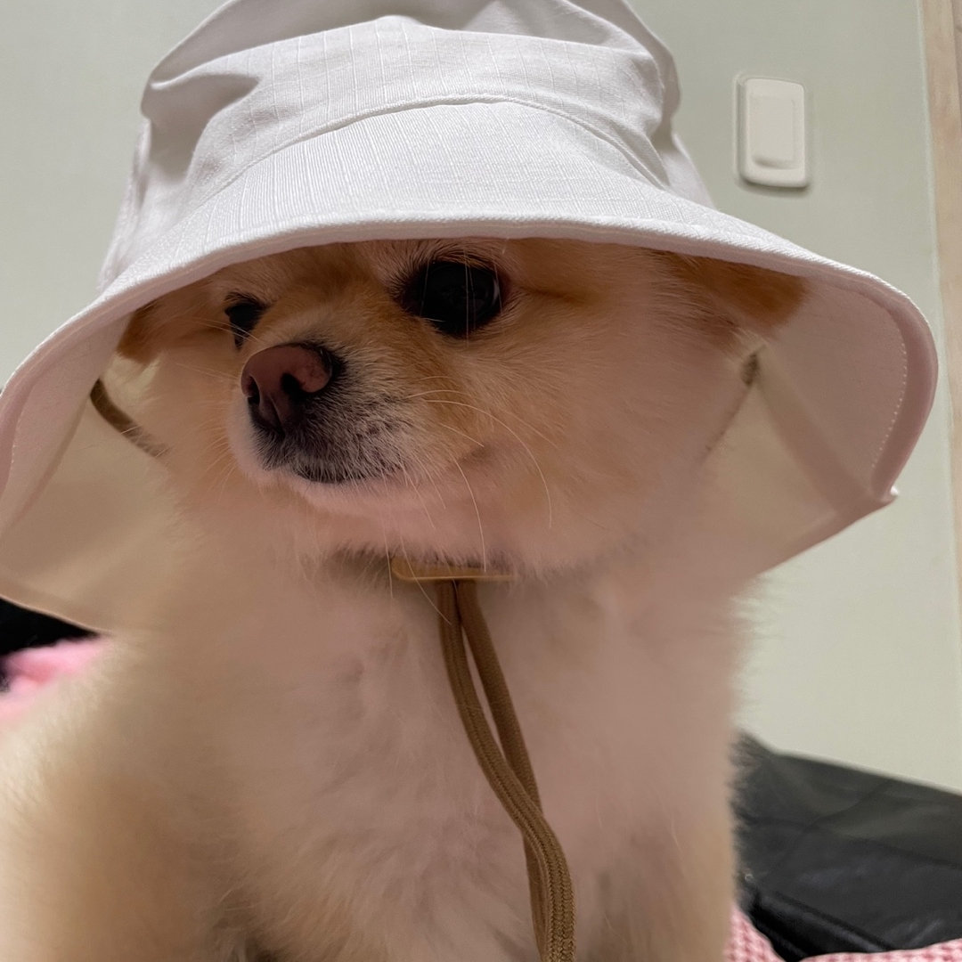 Nike x Jacquemus Bucket Hat White 착용 스타일