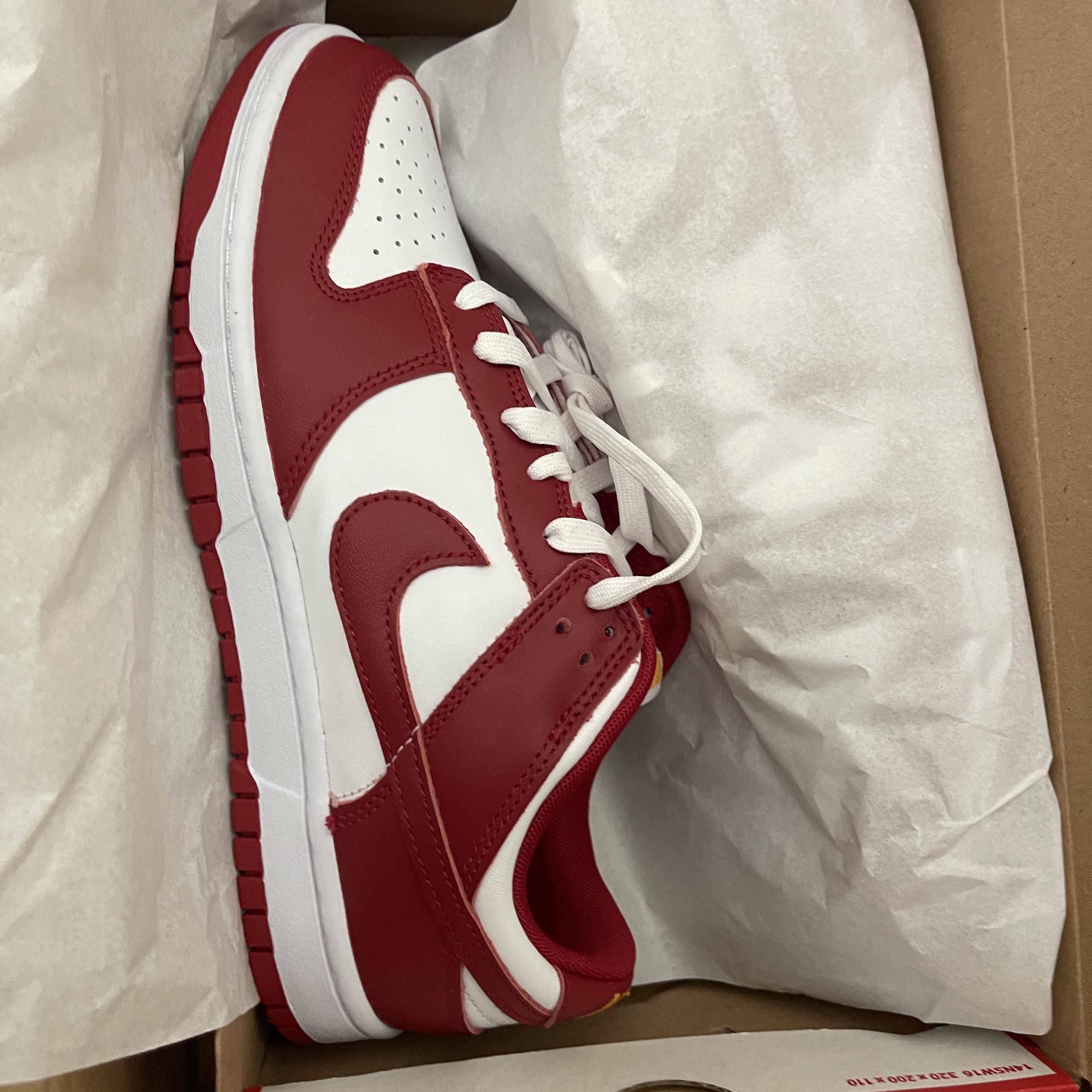 Nike Dunk Low Retro Gym Red 착용 스타일 - 1