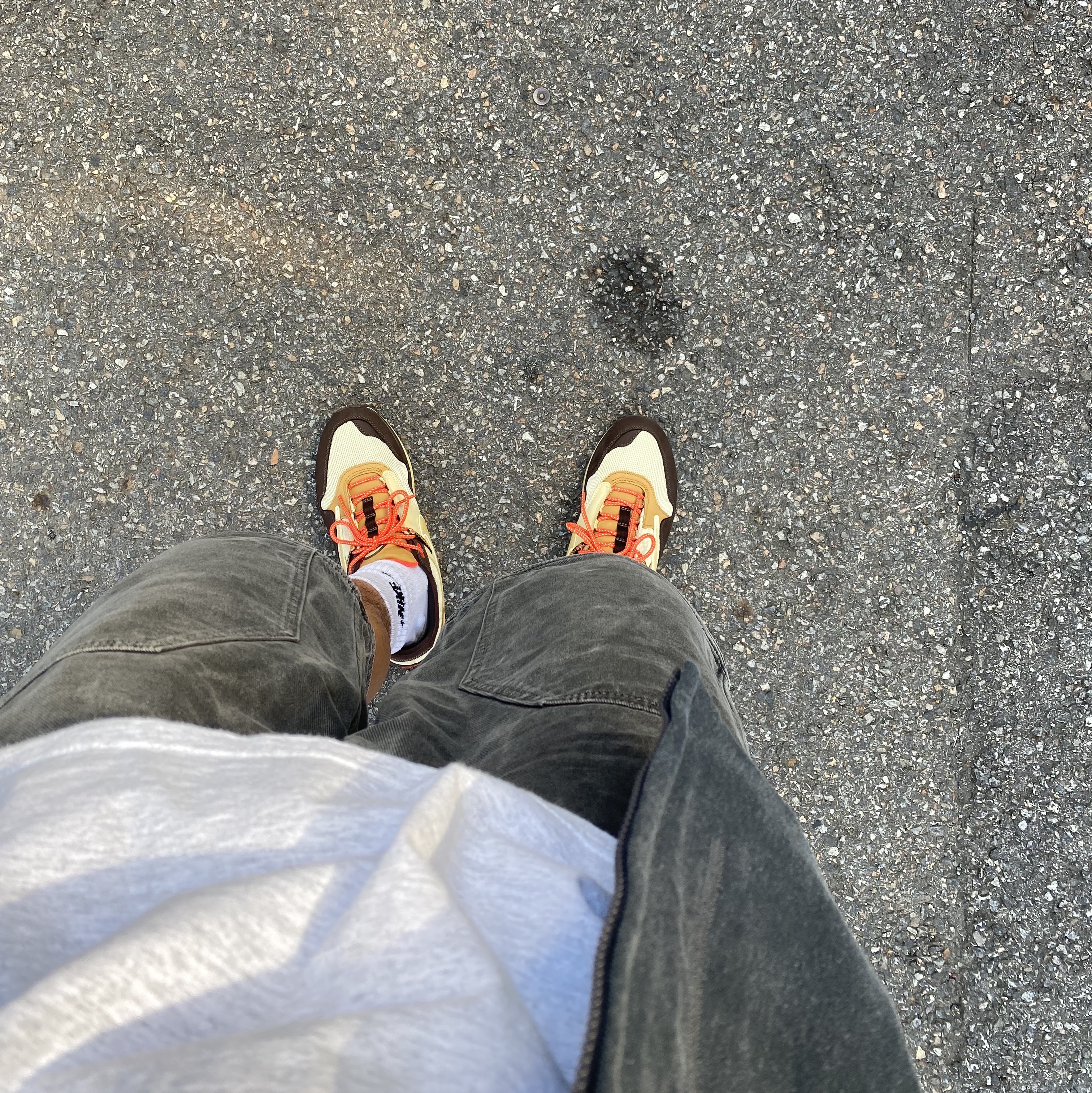 Nike x Travis Scott Air Max 1 Cact.us Brown 착용 스타일
