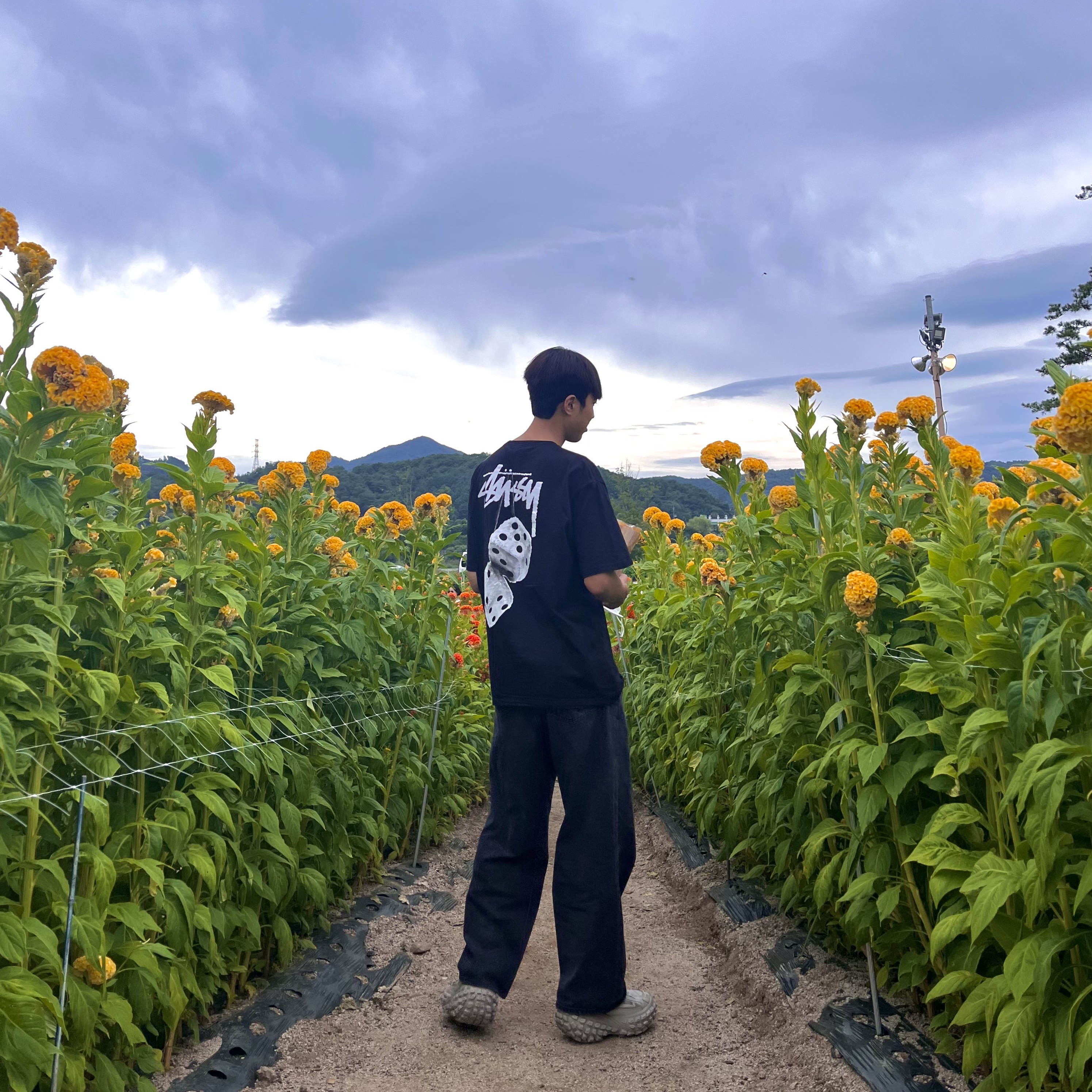 Stussy Fuzzy Dice T-Shirt Black, Balenciaga Defender Sneakers Beige 착용 스타일