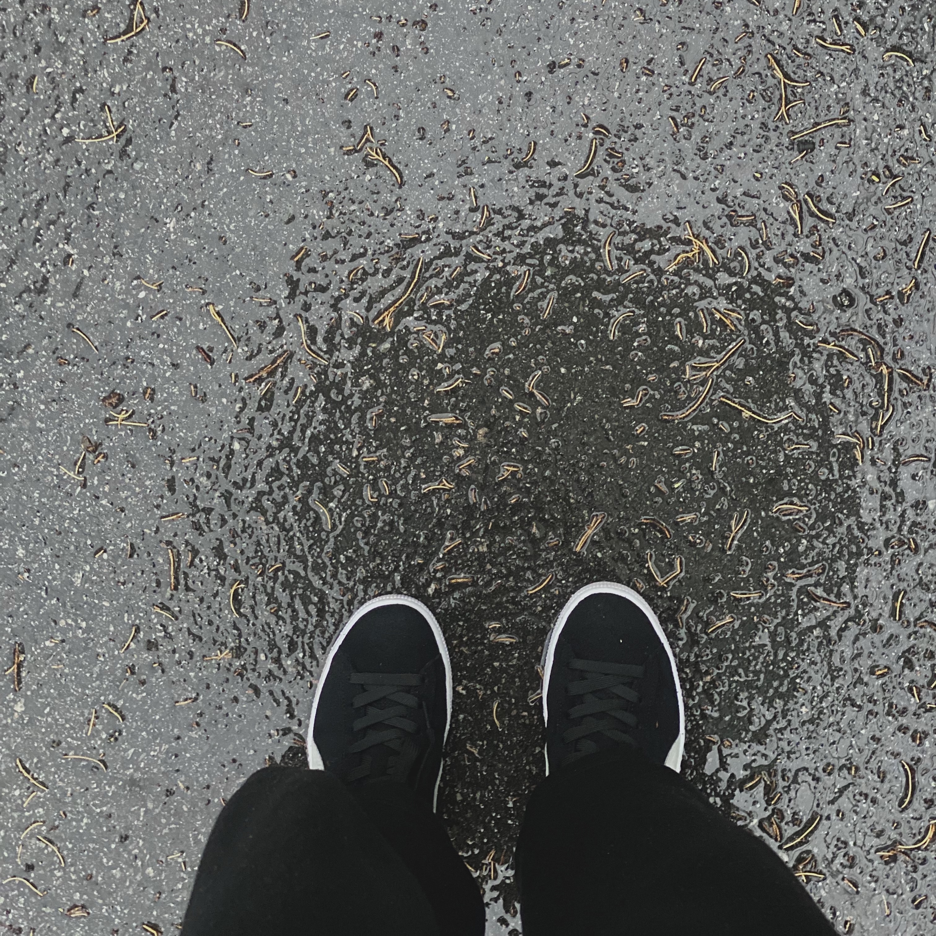 Puma Suede Classic XXI Black White 착용 스타일