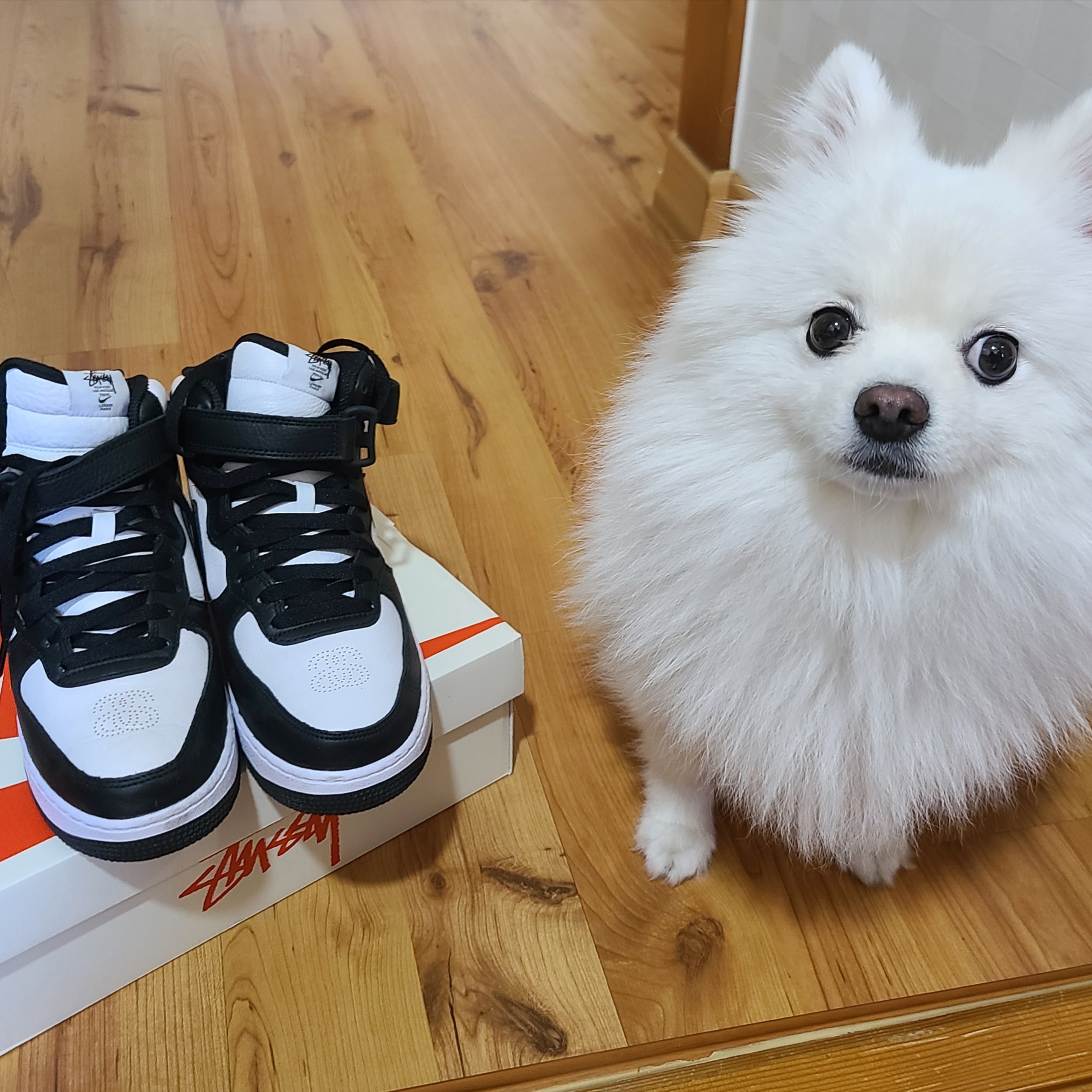 Nike x Stussy Air Force 1 '07 Mid SP Black and Light Bone 착용 스타일 - 2