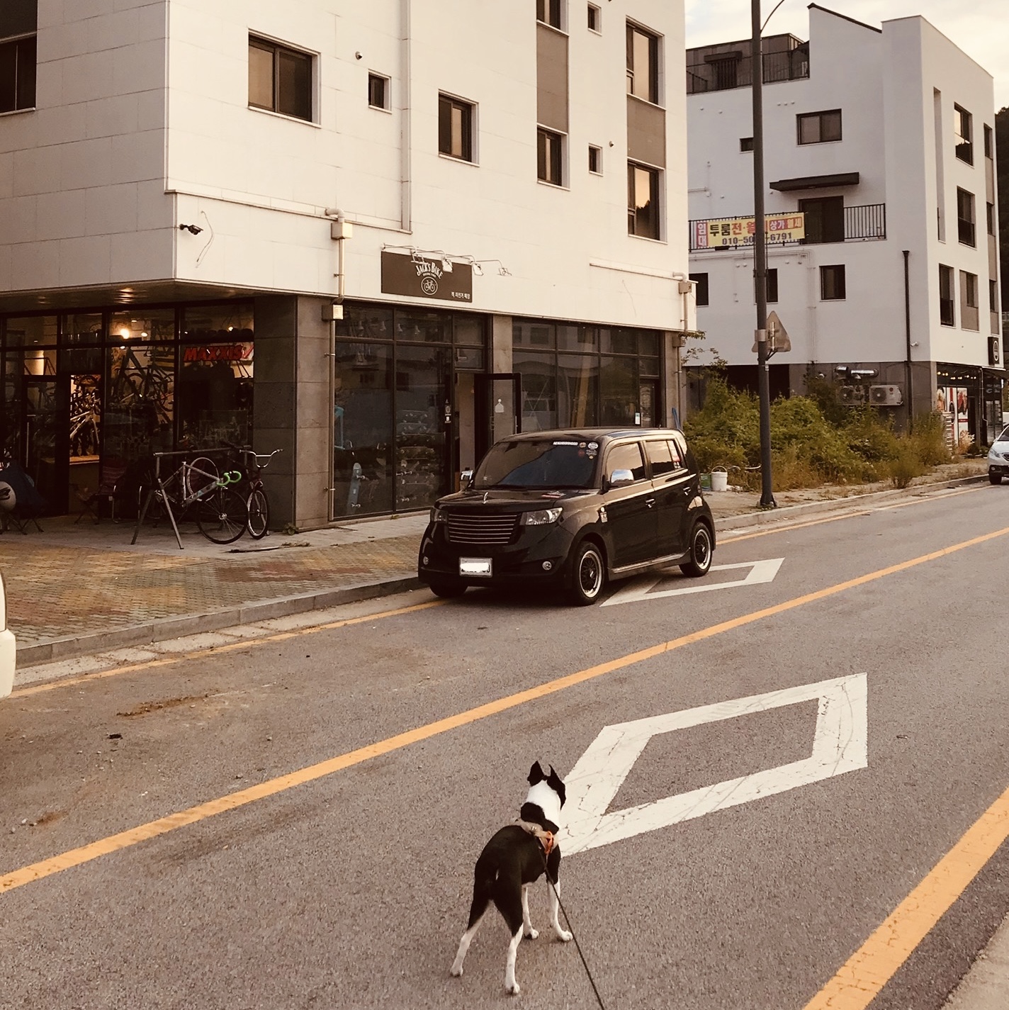 parkmarley님의 스타일 - 3