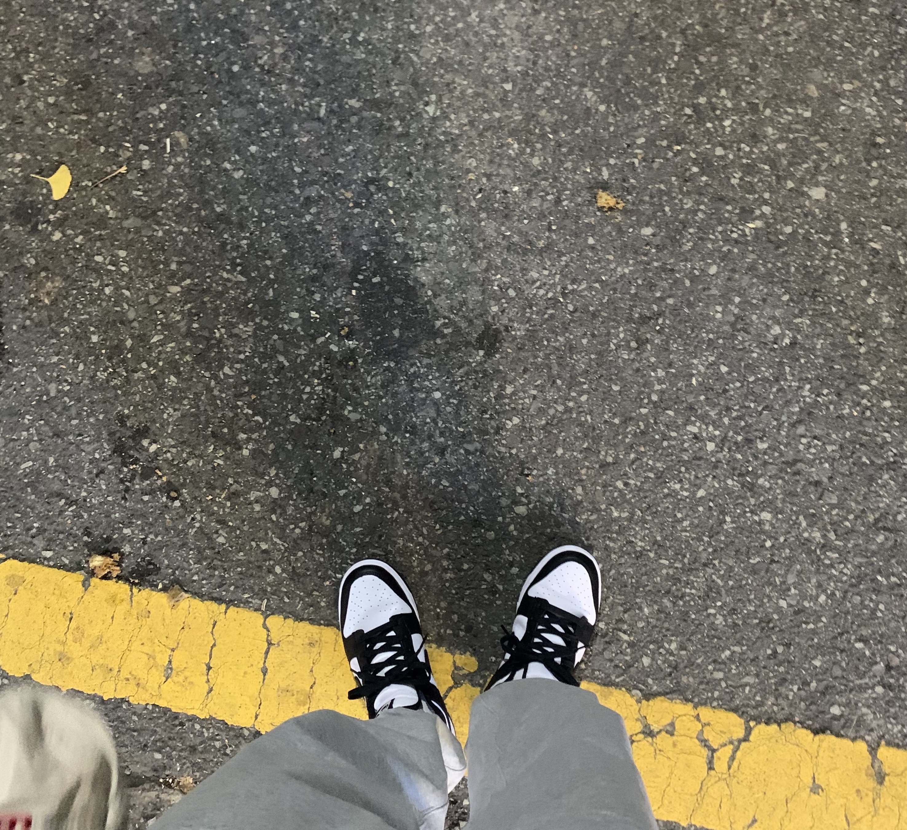 Nike Dunk Low Retro Black 착용 스타일