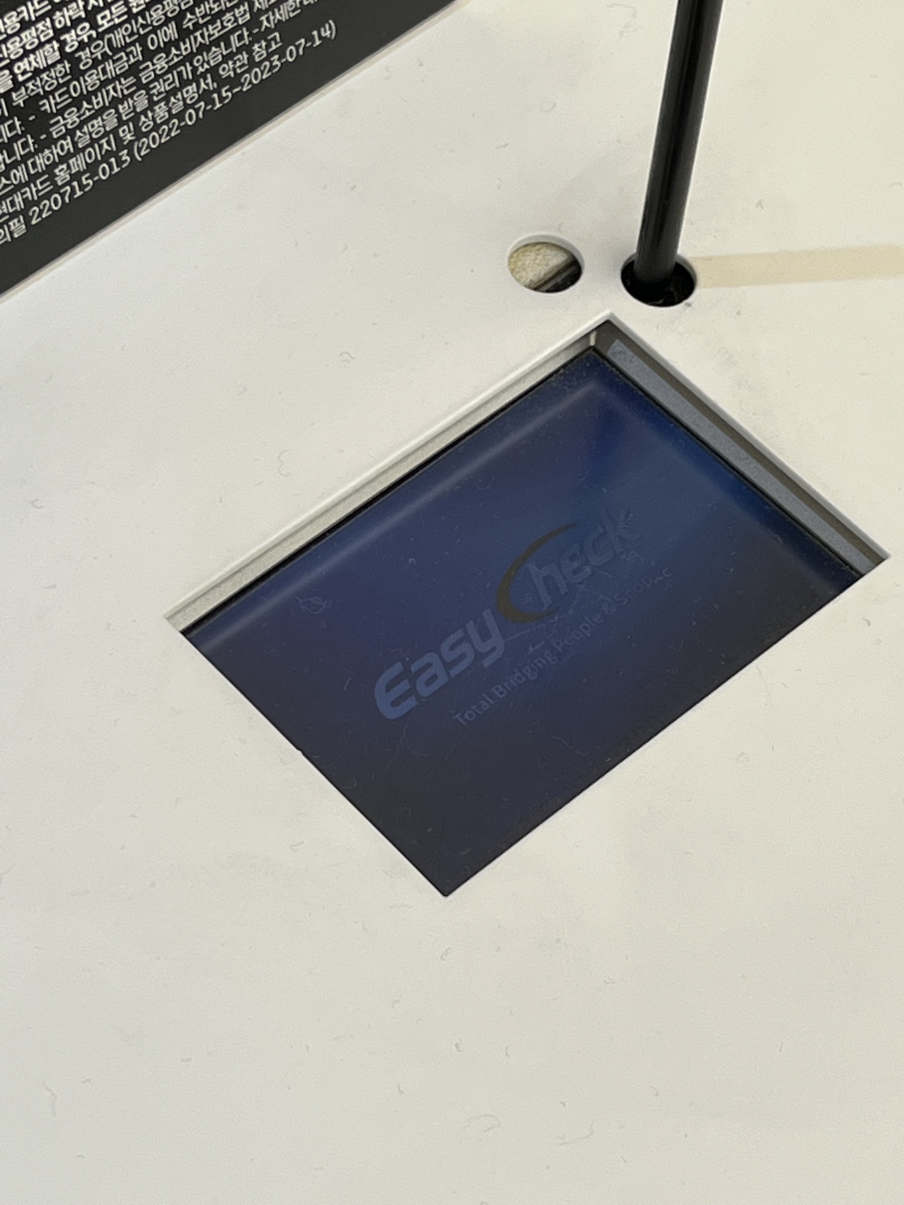 Autry Medalist Low Leather Sneakers White Black 착용 스타일 - 5