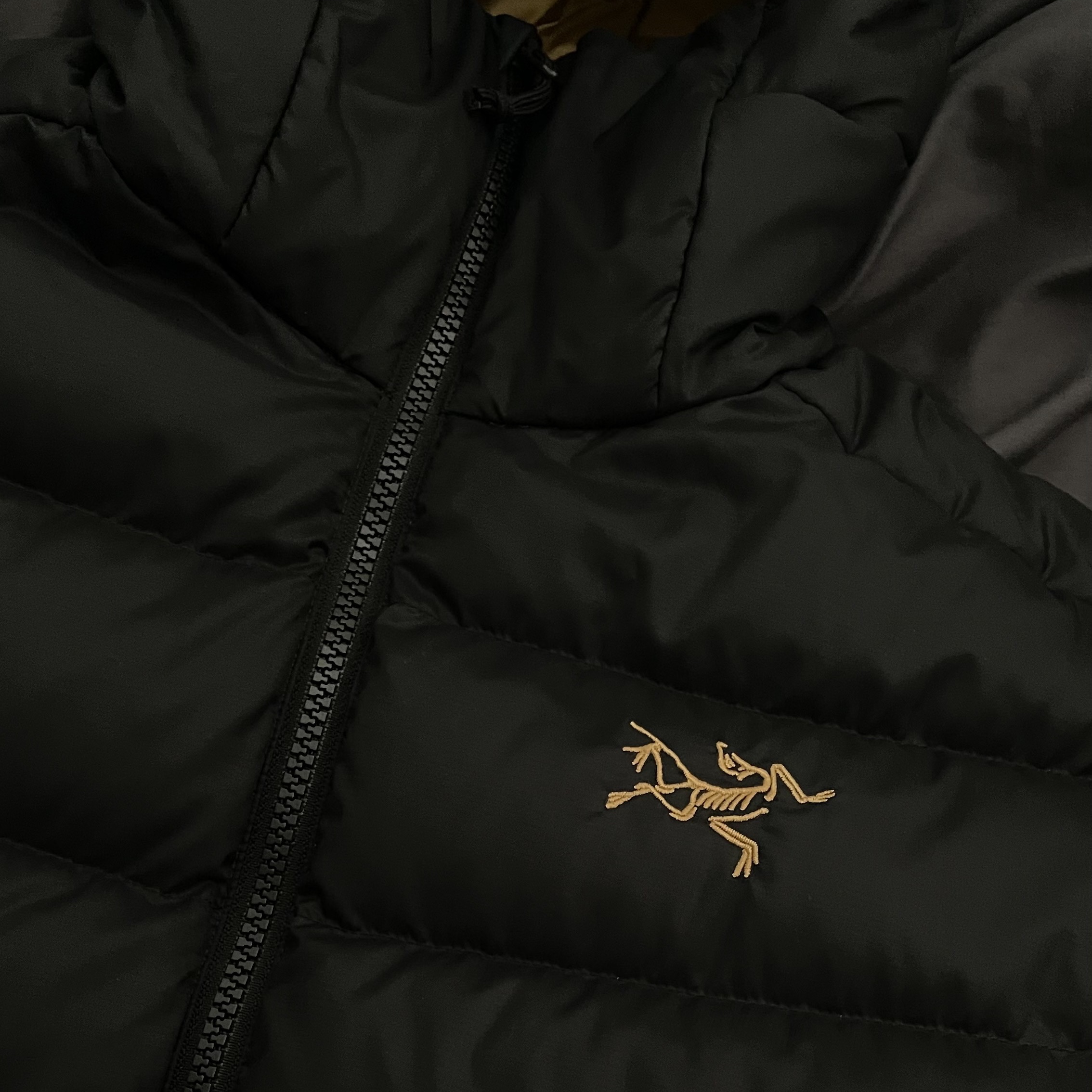 Arc'teryx Thorium AR Hoody 24K Black 착용 스타일