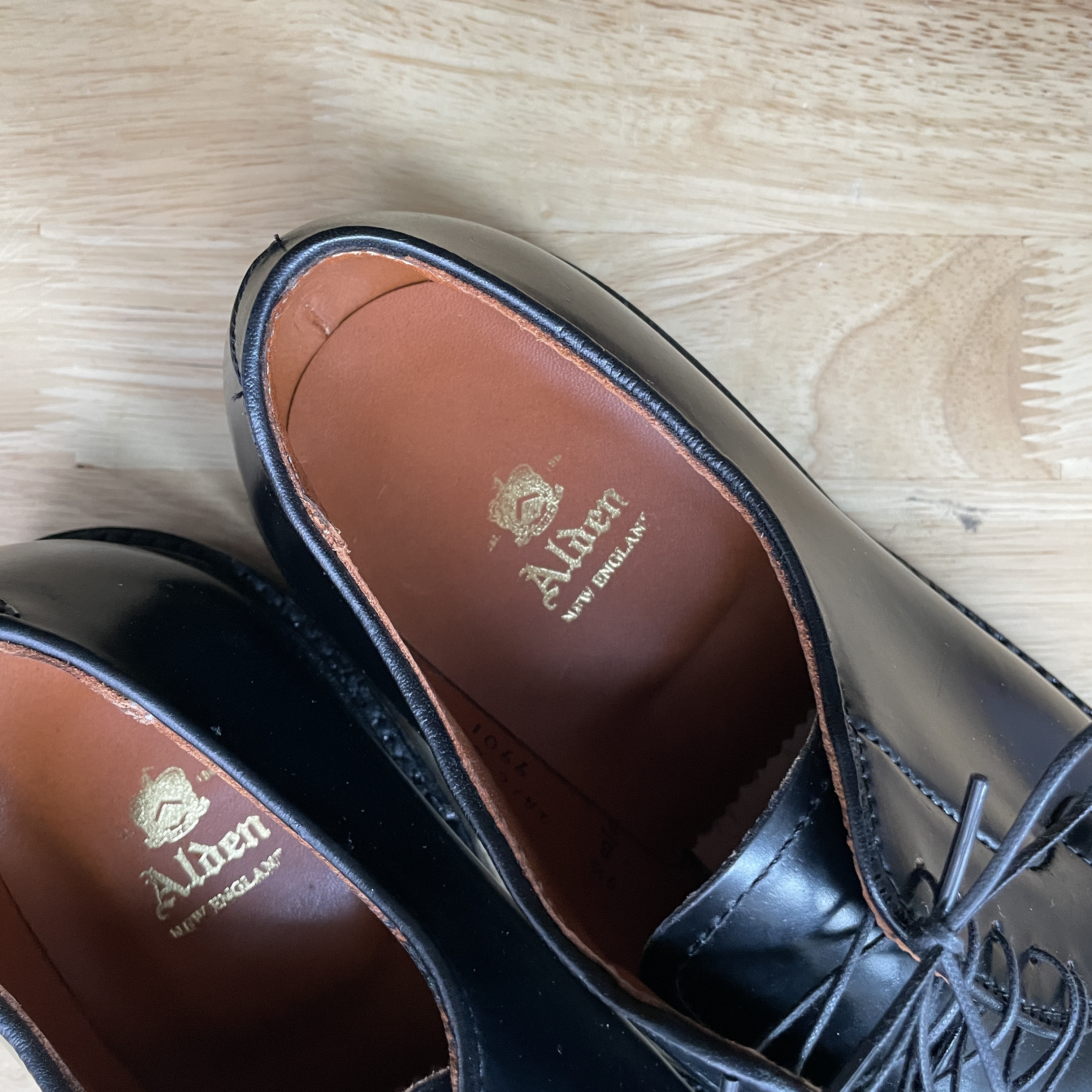 Alden 9901 Cordovan Plain Toe Blucher Oxford Black - D 착용 스타일 - 3