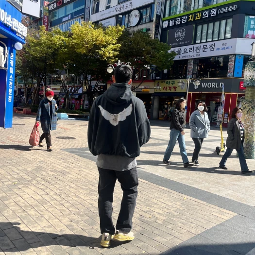 스타일 카드