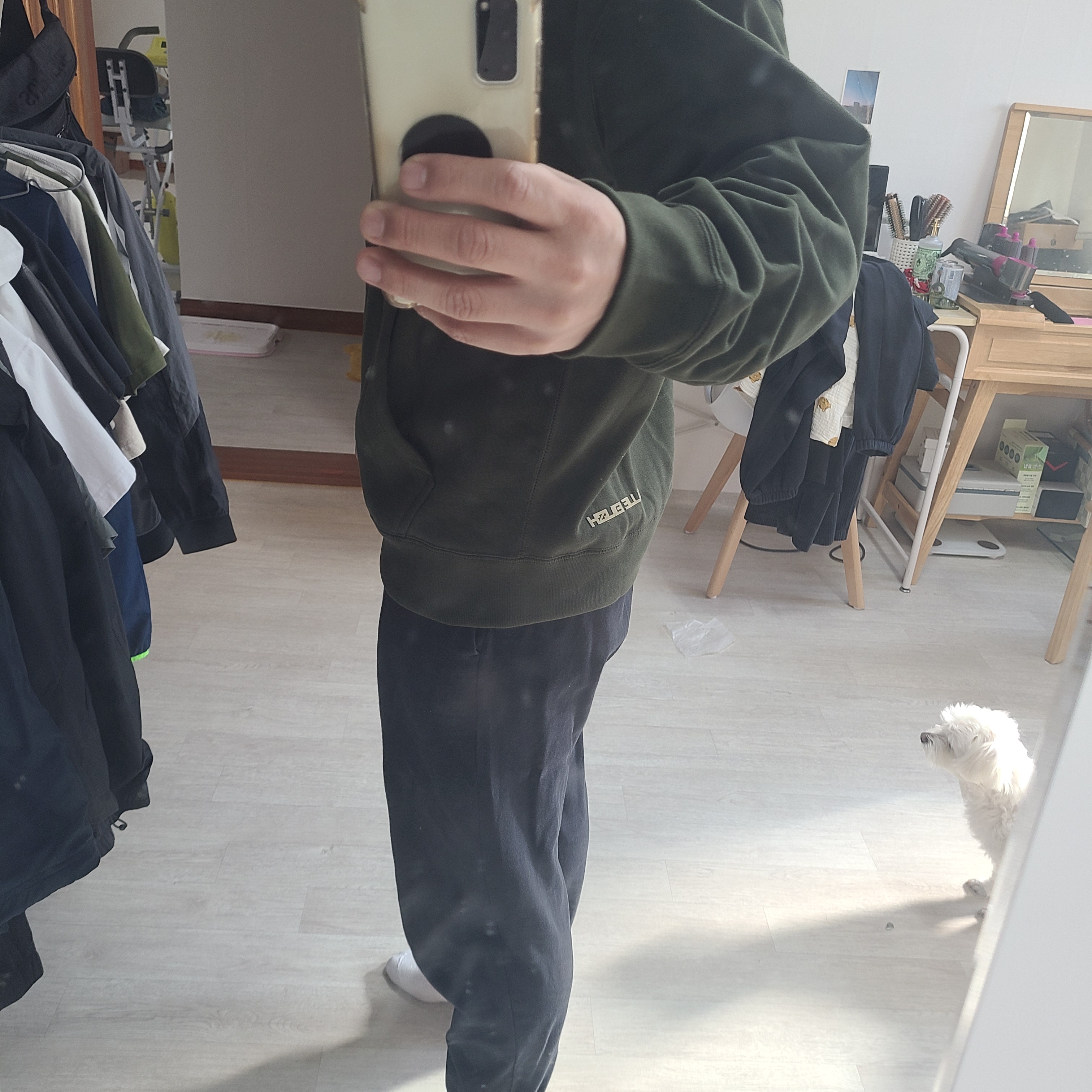 Nike x Billie Eilish NRG Fleece Hoodie Sequoia - Asia 착용 스타일 - 2