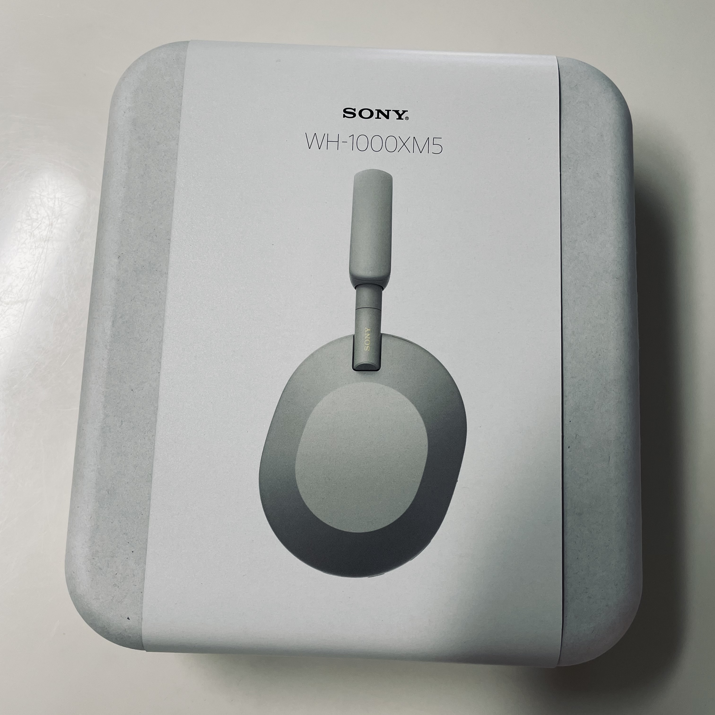 Sony WH-1000XM5 Silver (Korean Ver.) 착용 스타일 - 1