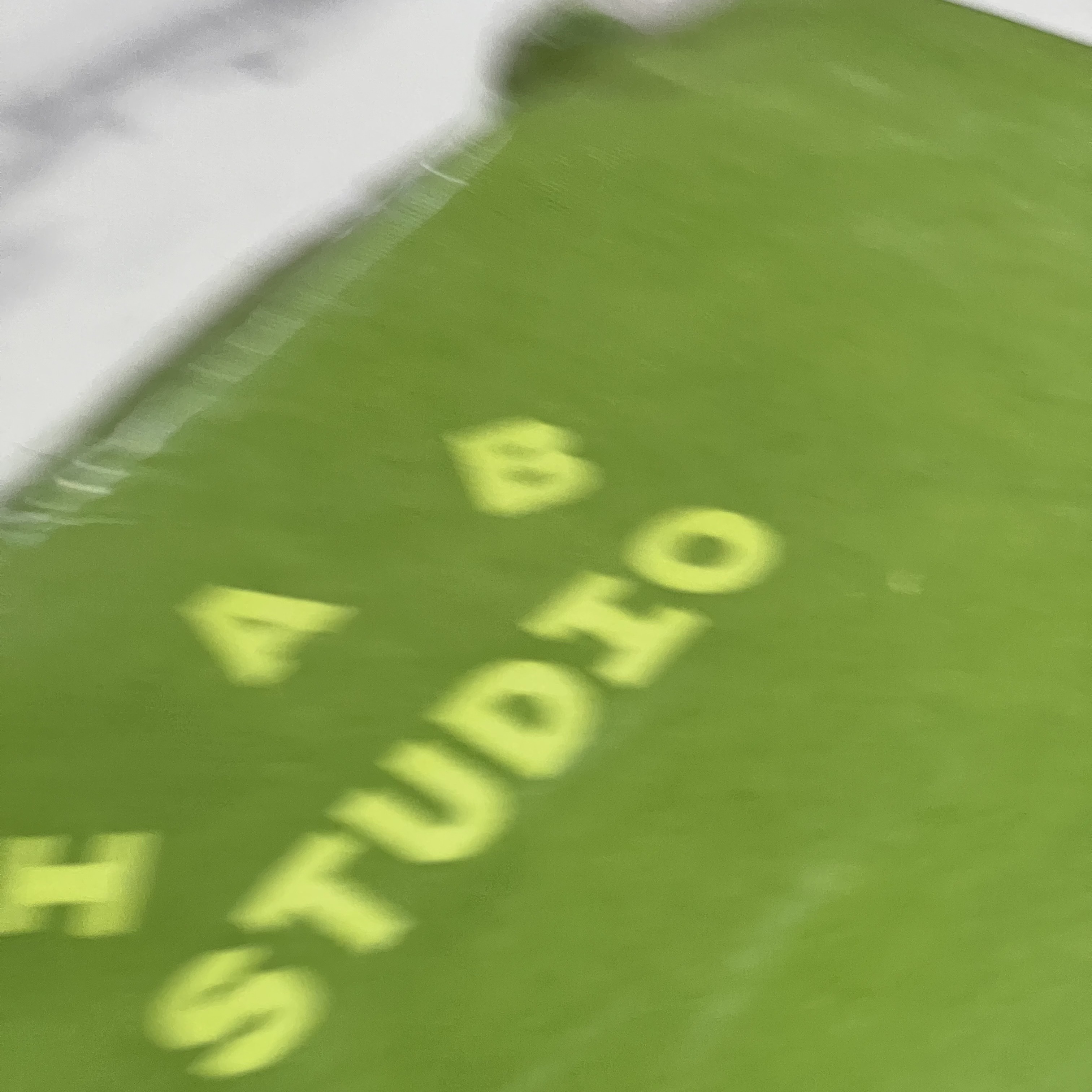 IAB Studio Pigment Hoodie & Sack Apple Green 착용 스타일 - 4