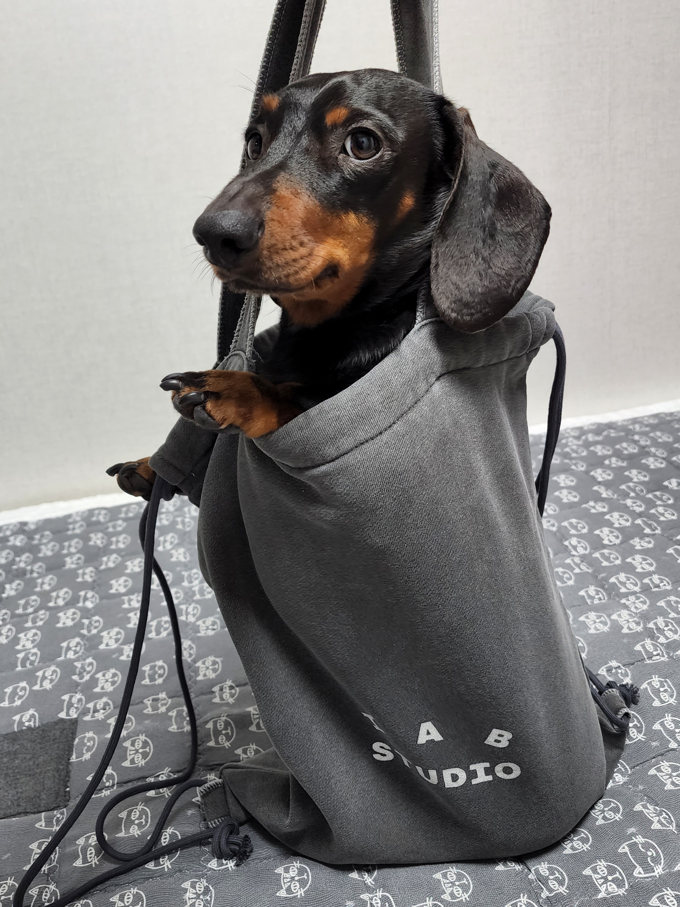 IAB Studio Pigment Sack Black, IAB Studio Pigment Hoodie & Sack Black 착용 스타일 - 1