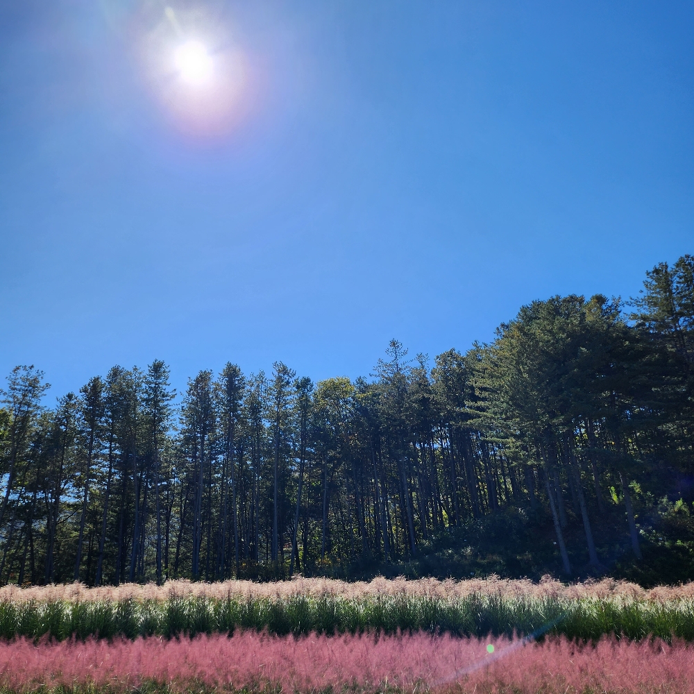 관심 유저 프로필 이미지