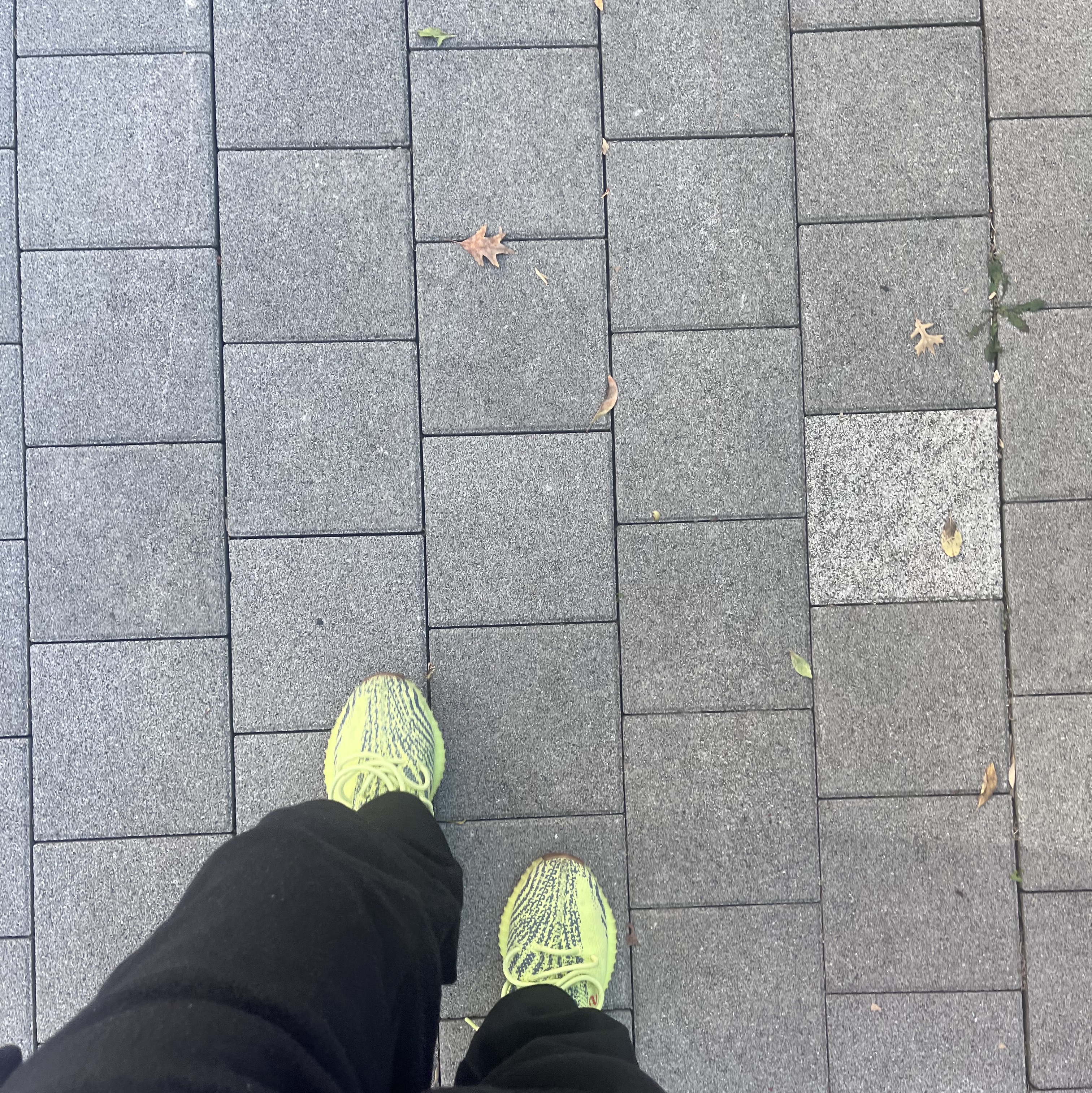 Adidas Yeezy Boost 350 V2 Semi Frozen Yellow 착용 스타일