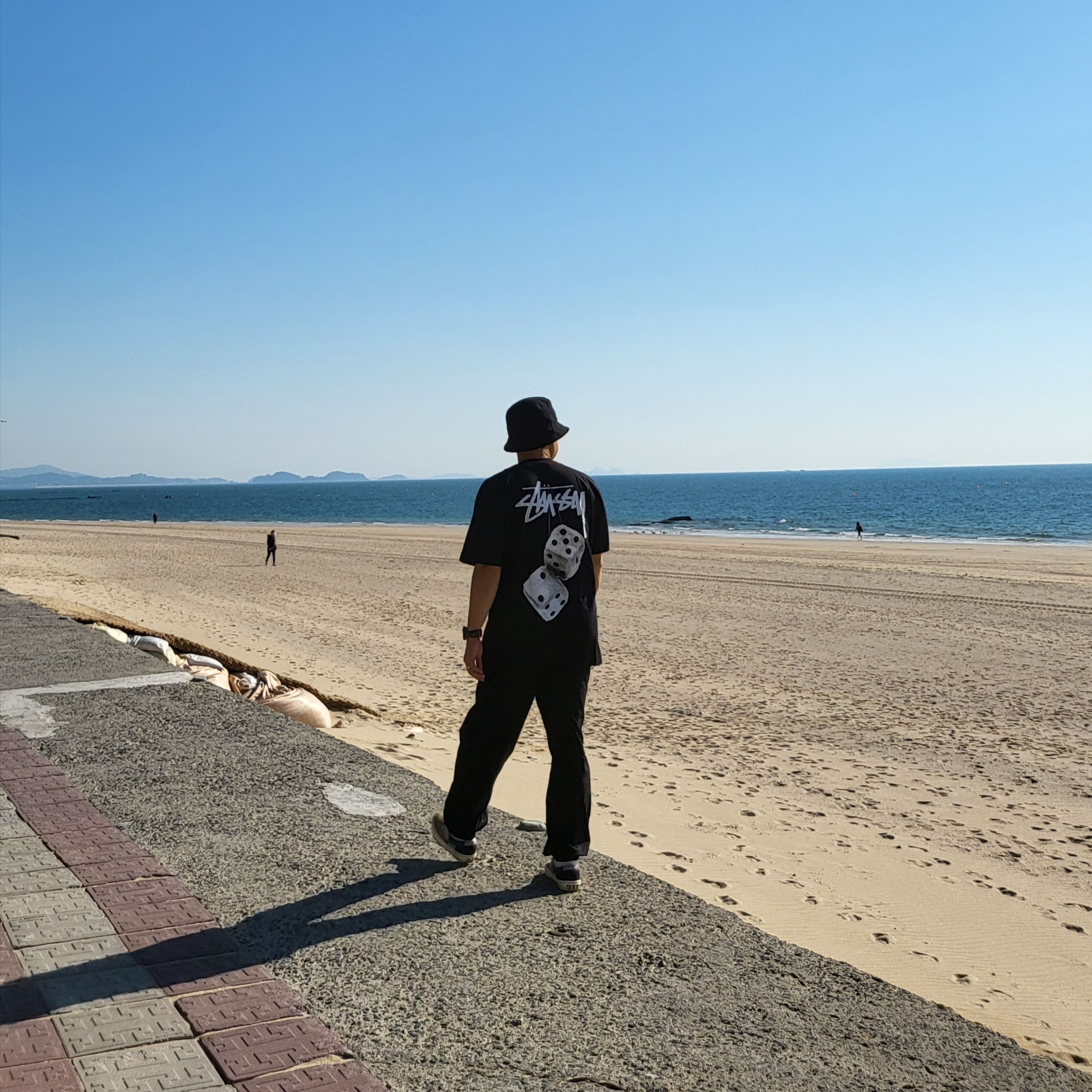 Stussy Fuzzy Dice T-Shirt Black 착용 스타일 - 1