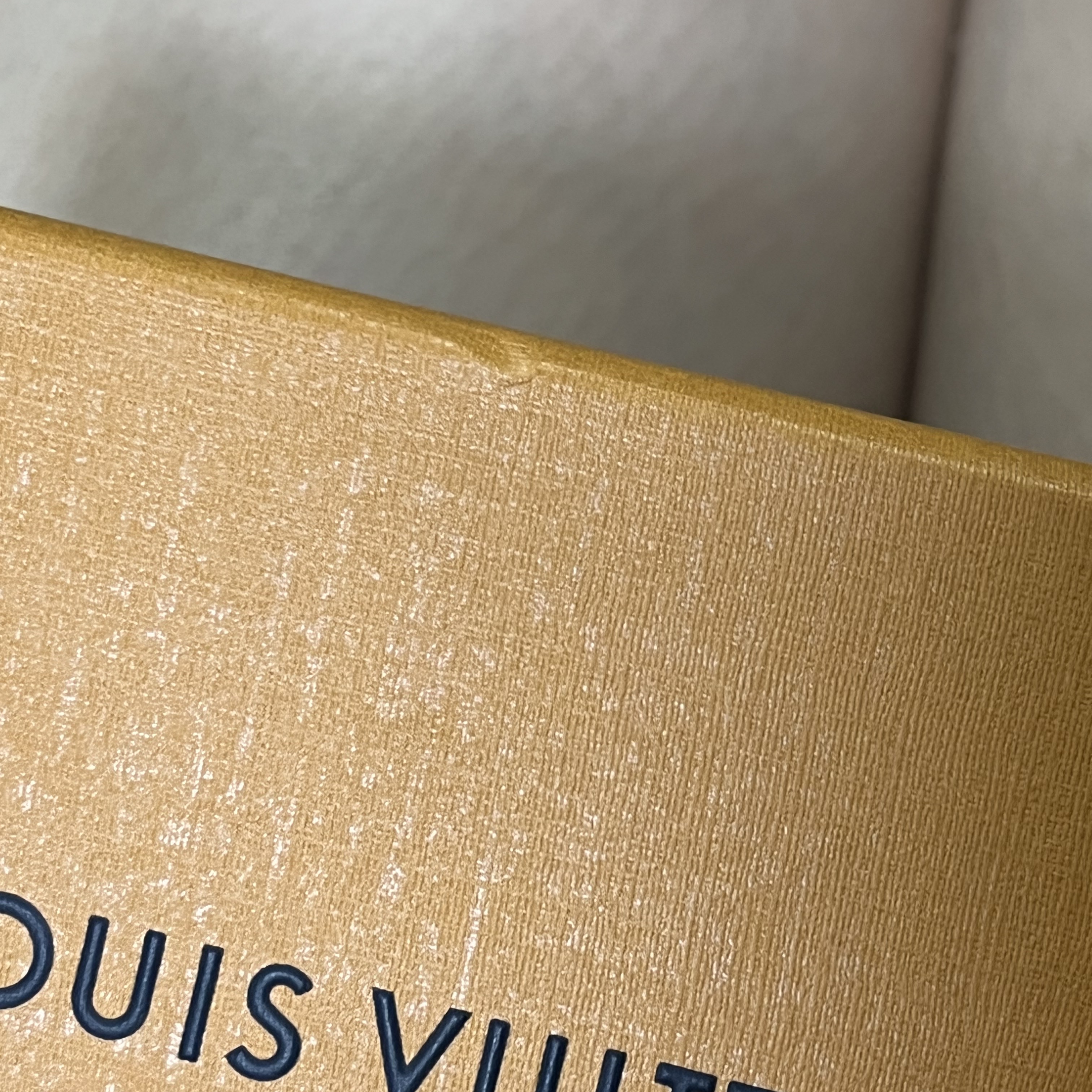 Louis Vuitton Card Holder Monogram and Monogram Reversed 착용 스타일 - 4