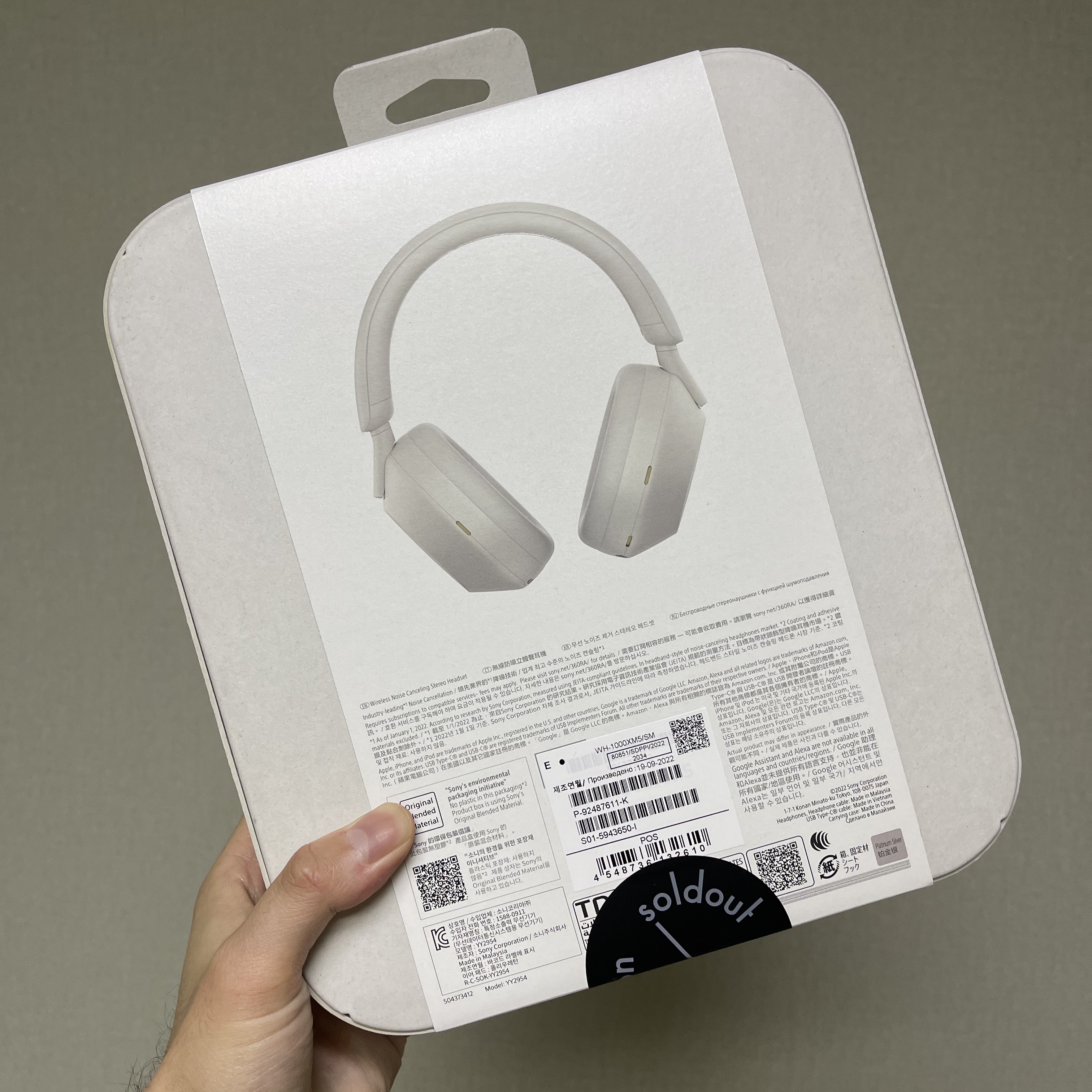 Sony WH-1000XM5 Silver (Korean Ver.) 착용 스타일 - 2