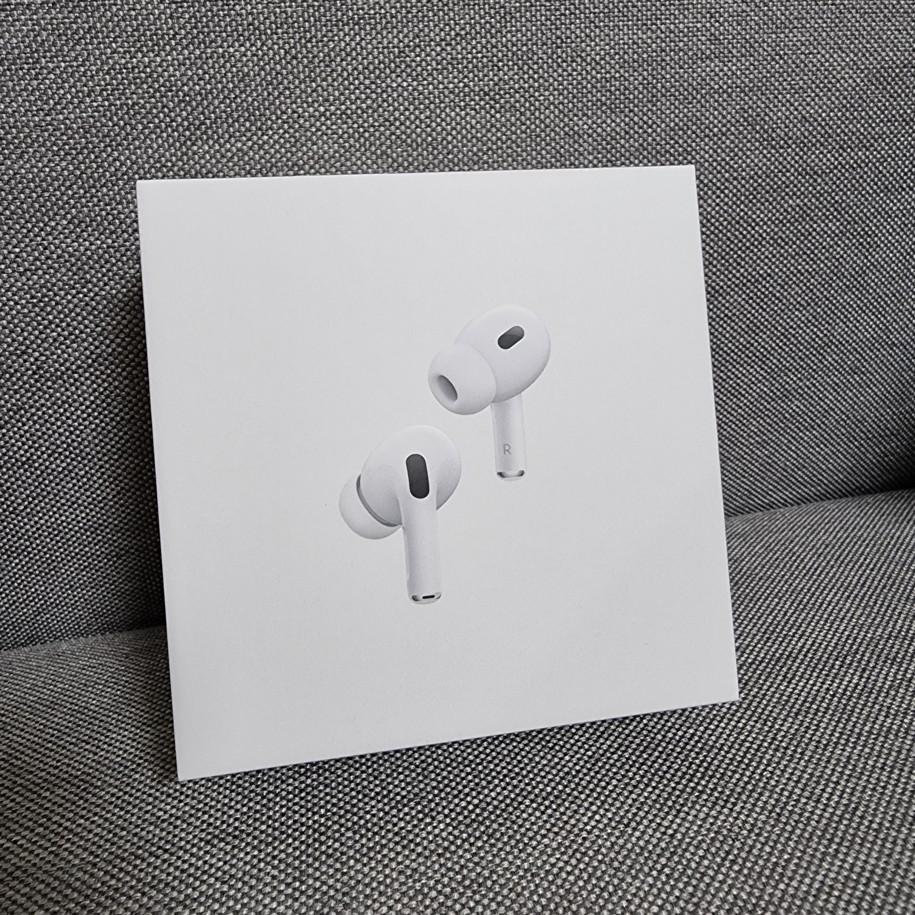 Apple AirPods Pro 2nd Gen (Korean Ver.) 착용 스타일