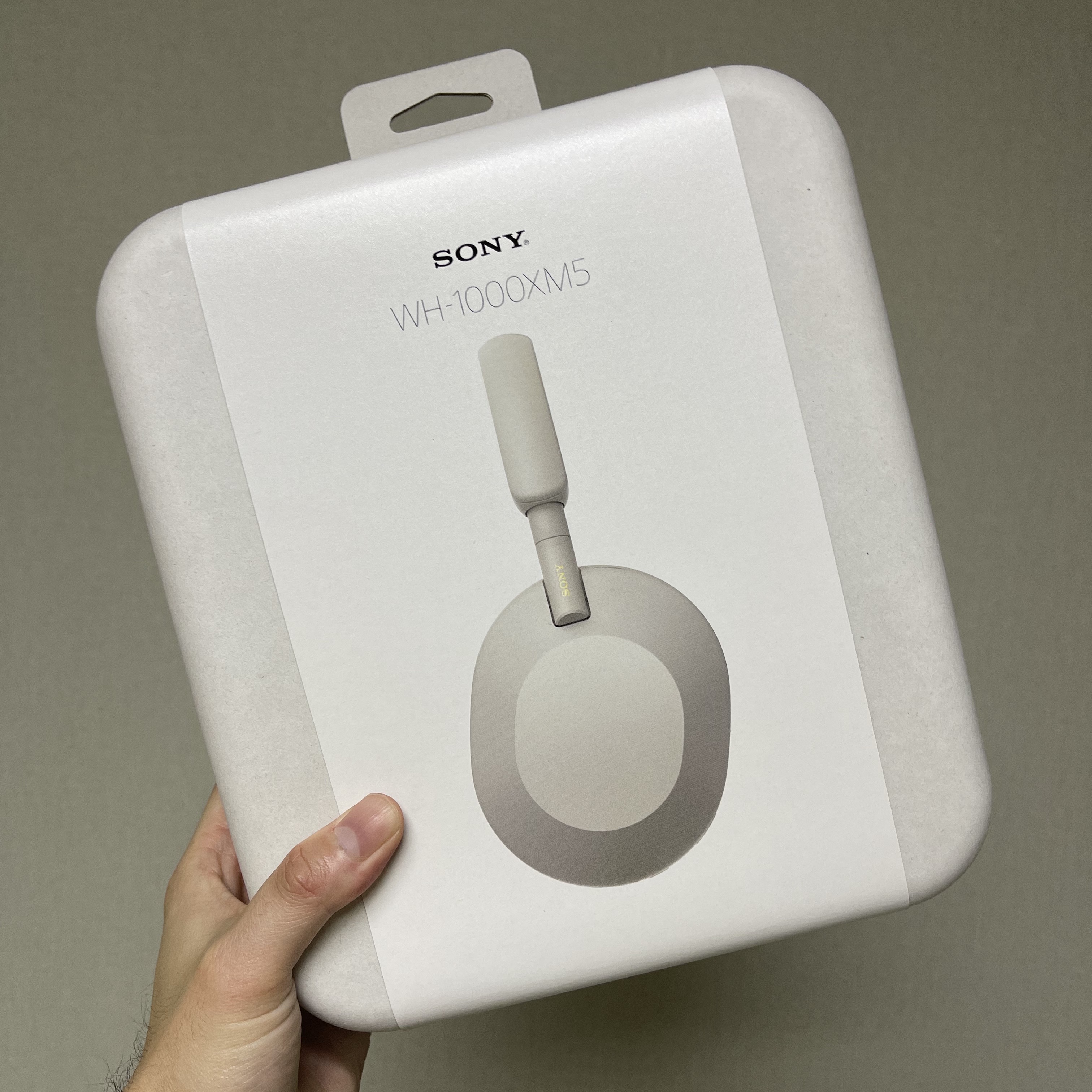 Sony WH-1000XM5 Silver (Korean Ver.) 착용 스타일 - 1