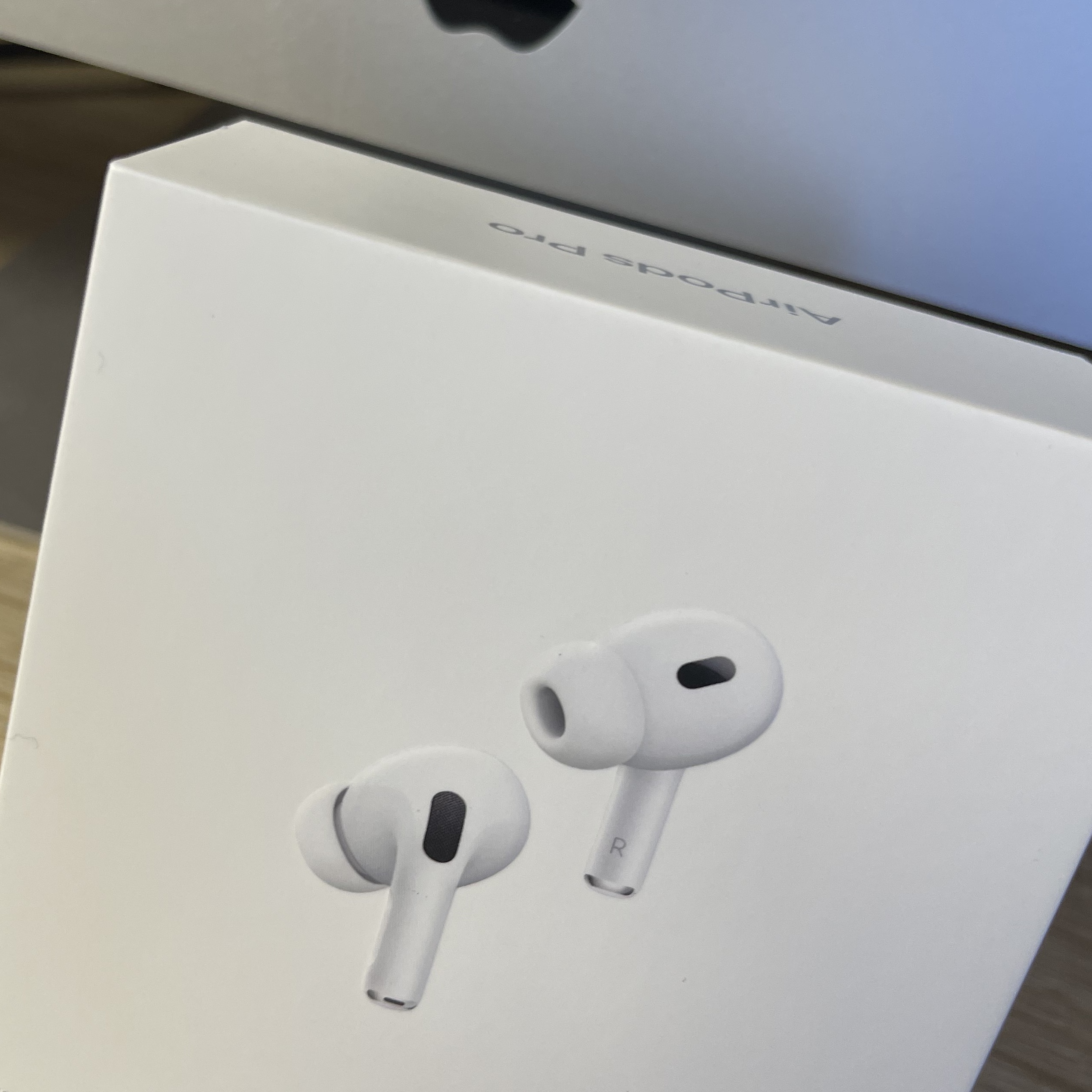 Apple AirPods Pro 2nd Gen (Korean Ver.) 착용 스타일
