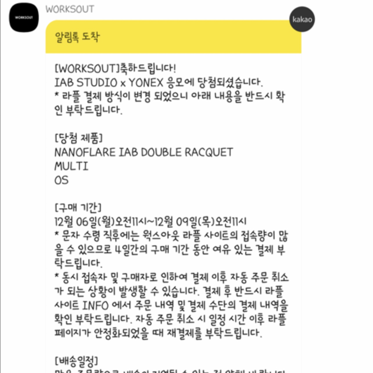 IAB Studio x Yonex Double Racquet Nanoflare 착용 스타일