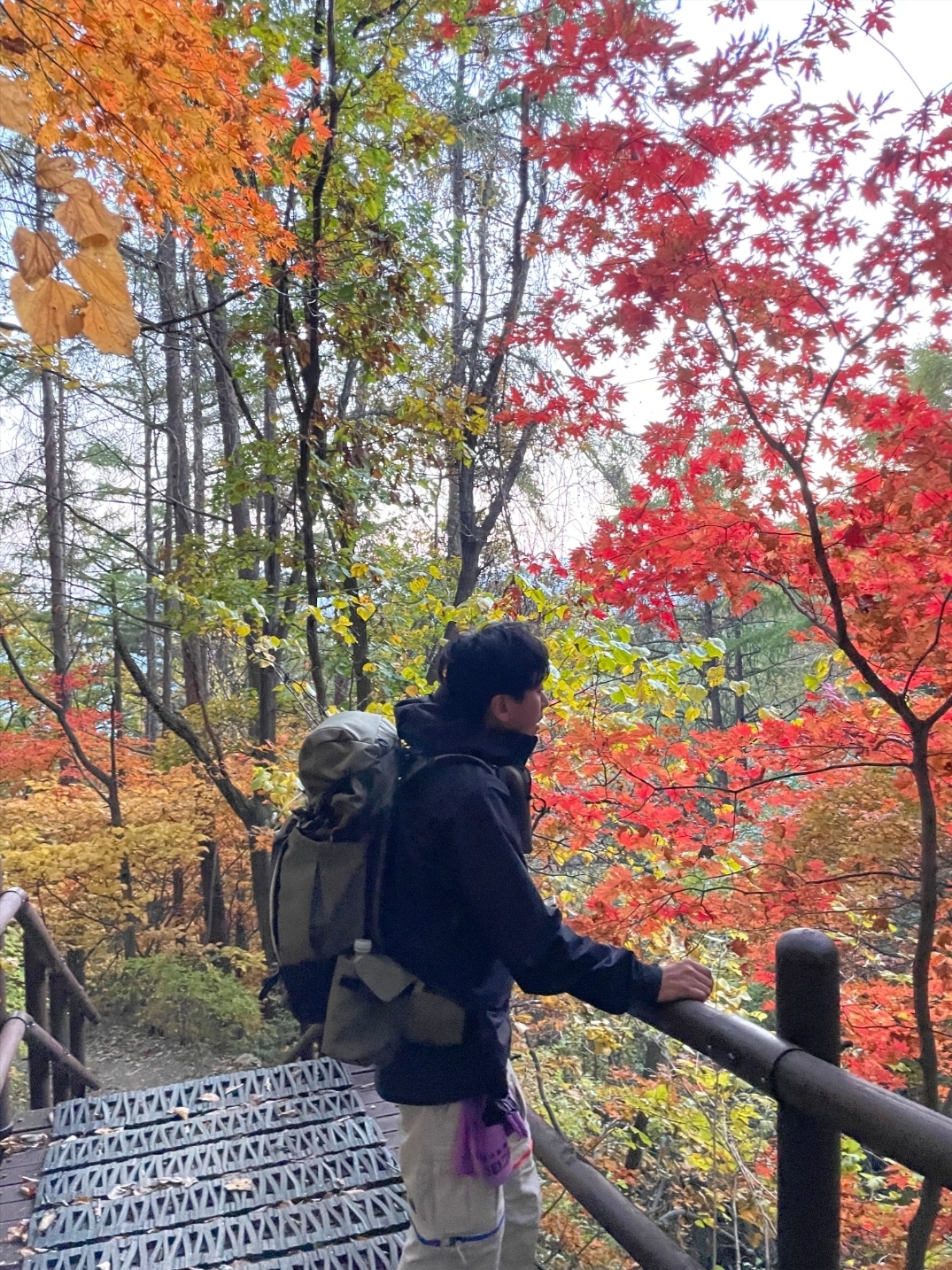 Nike ACG Smith Summit Cargo Pants Light Bone - Asia, Nike ACG 36 Backpack Medium Olive 착용 스타일 - 3