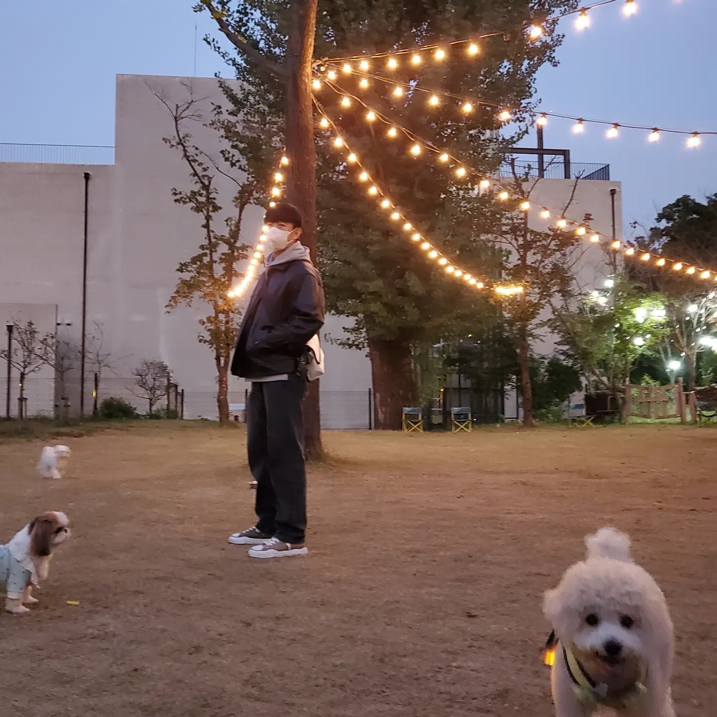 Maison Mihara Yasuhiro x Nigel Cabourn Low Cut Sneakers Army Green, Ader Error Small Trace Esty Messanger Bag White 착용 스타일